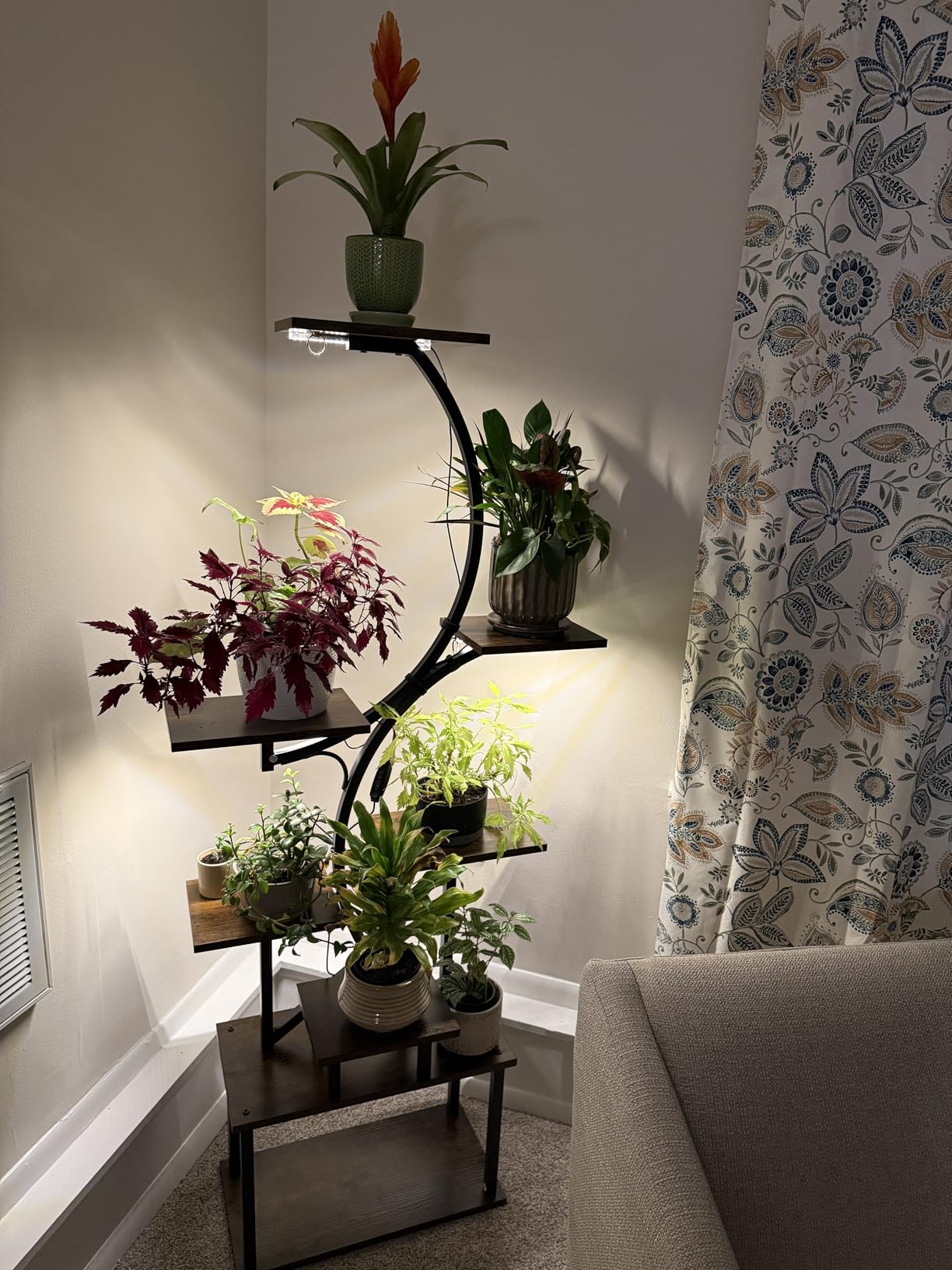 BACEKOLL Plant Stand Indoor with Grow Light, 8 Tier Corner Plant Shelf Tall customer photo 1