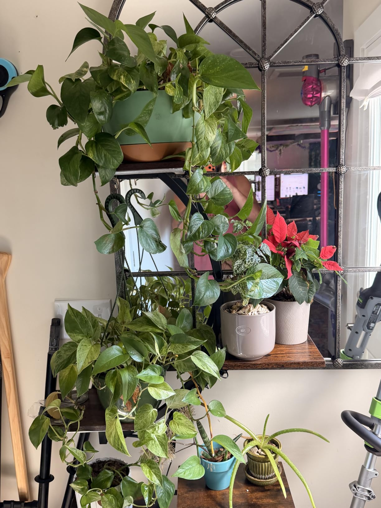 BACEKOLL Plant Stand Indoor with Grow Light, 8 Tier Corner Plant Shelf Tall customer photo 2
