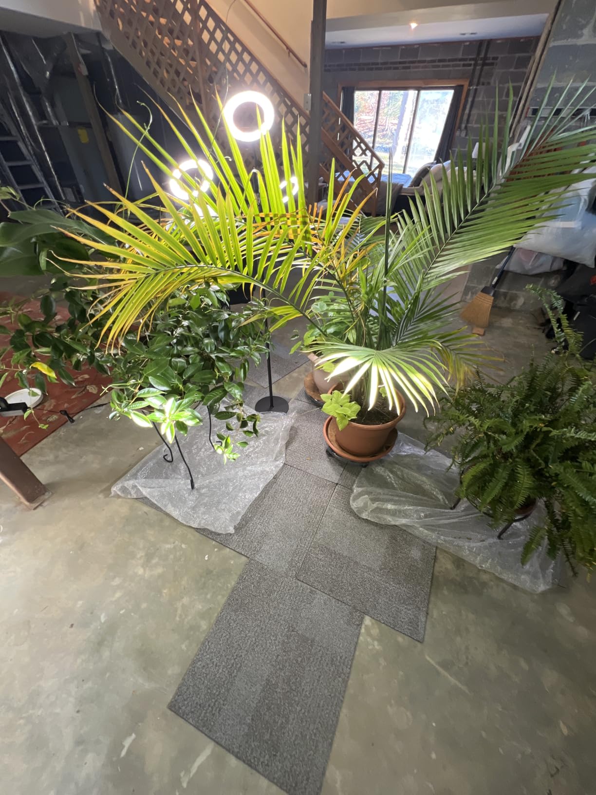 Garpsen Grow Lights for Indoor Plants, Full Spectrum with Stand, 80 LEDs customer photo 2