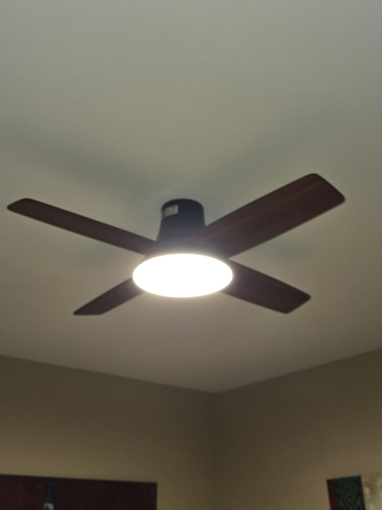 DREO Ceiling Fan, 44 Inch Low Profile Ceiling Fan with Light and Remote, 5CCT LED, 6-Level Dimmable, 6-Speed, Reversible Motor, 22 dB, Timer, Easy-Install, Black Flush Mount for Bedroom customer photo 1