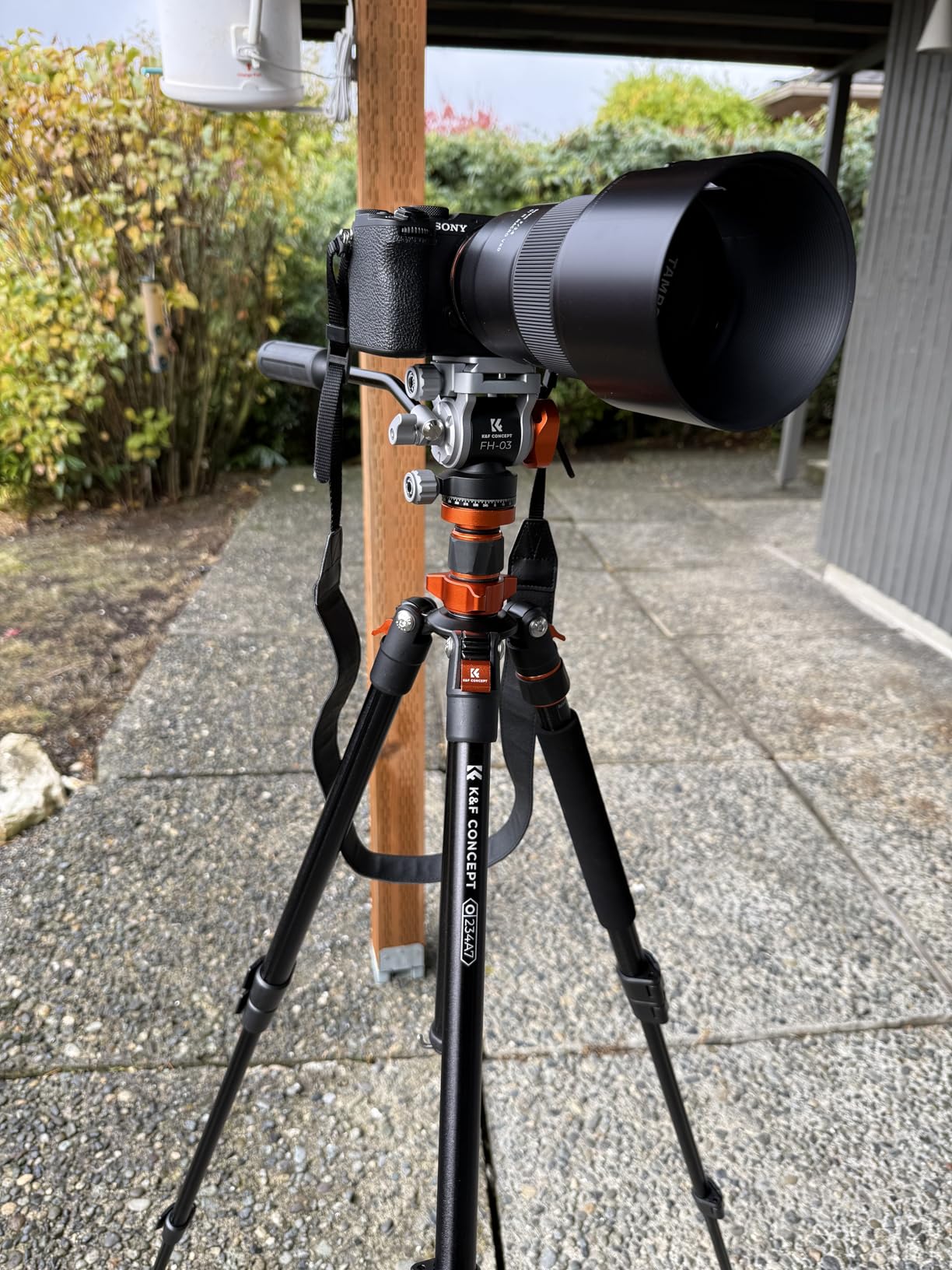 K&F CONCEPT 83
