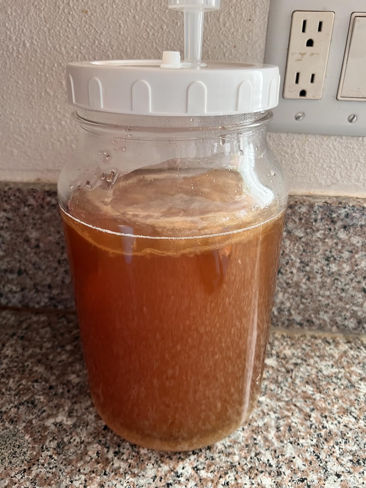 2 Gallon Fermentation Jar with Airlocks, Wide Mouth Glass Jar (7600ML) customer photo 2