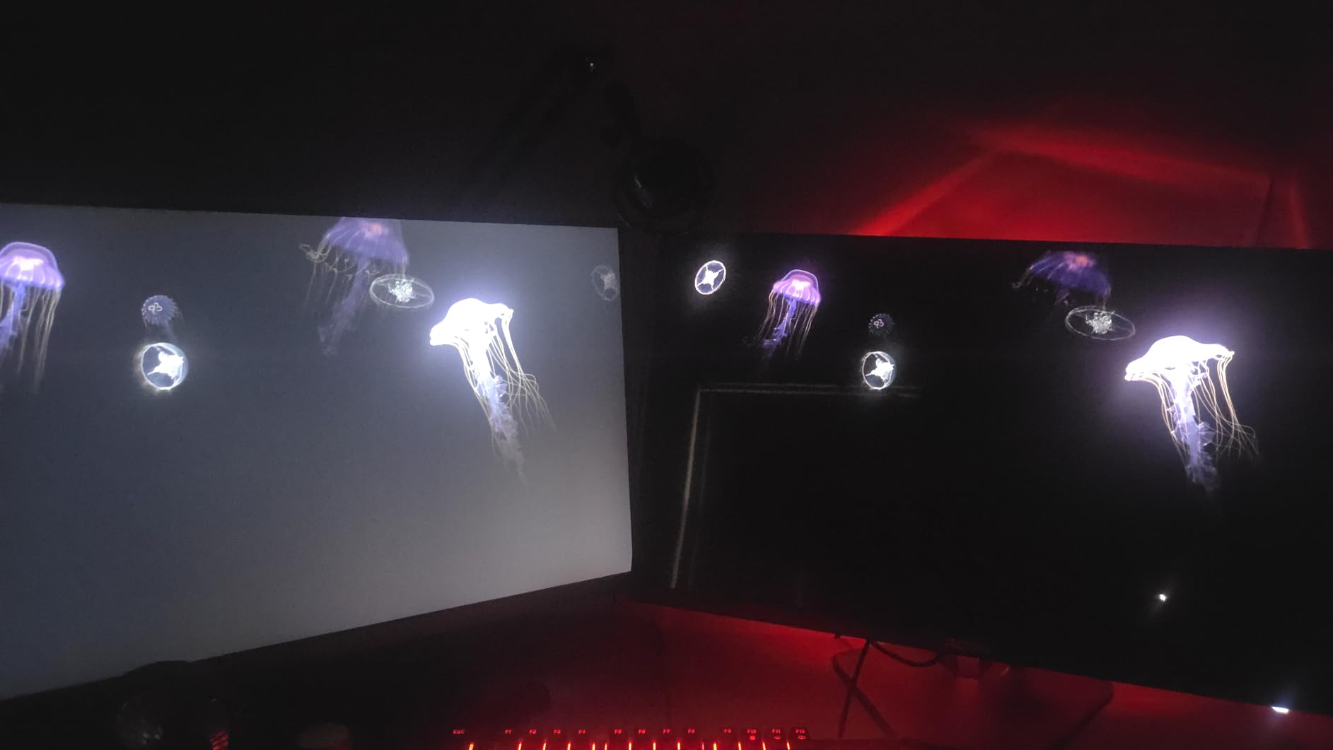 AOC Agon Pro 27 Inch Gaming Monitor QD OLED 240Hz 0.03ms, AG276QZD2 | 2560x1440 Computer Monitor, Height Adjustable, HDR TrueBlack 400, VESA Mount, Built-in Speakers customer photo 1