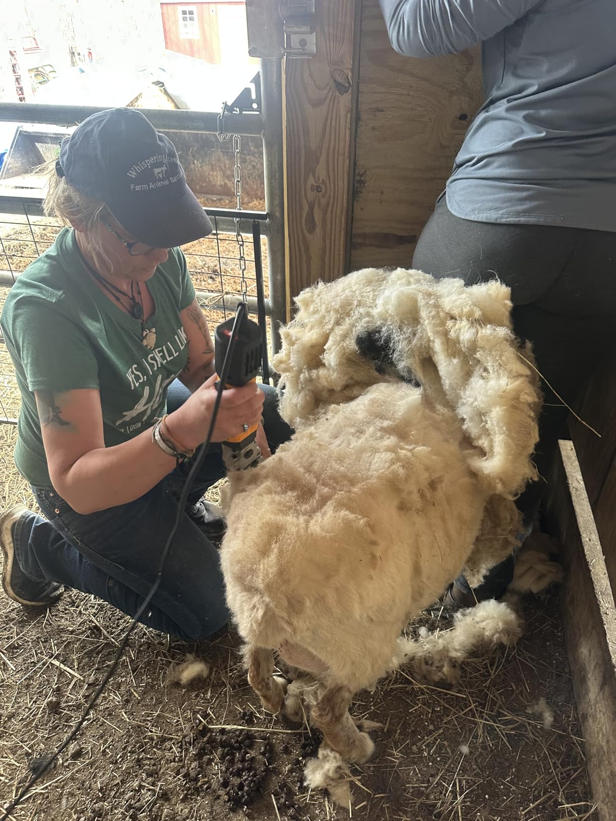 PAT JUUMG 1000W Sheep Shears Electric Farm Livestock Haircut with Blades Professional Animal Clippers 6 Speed Heavy Duty Electric for Thick Horses Sheep Alpacas Goats(Yellow) customer photo 1
