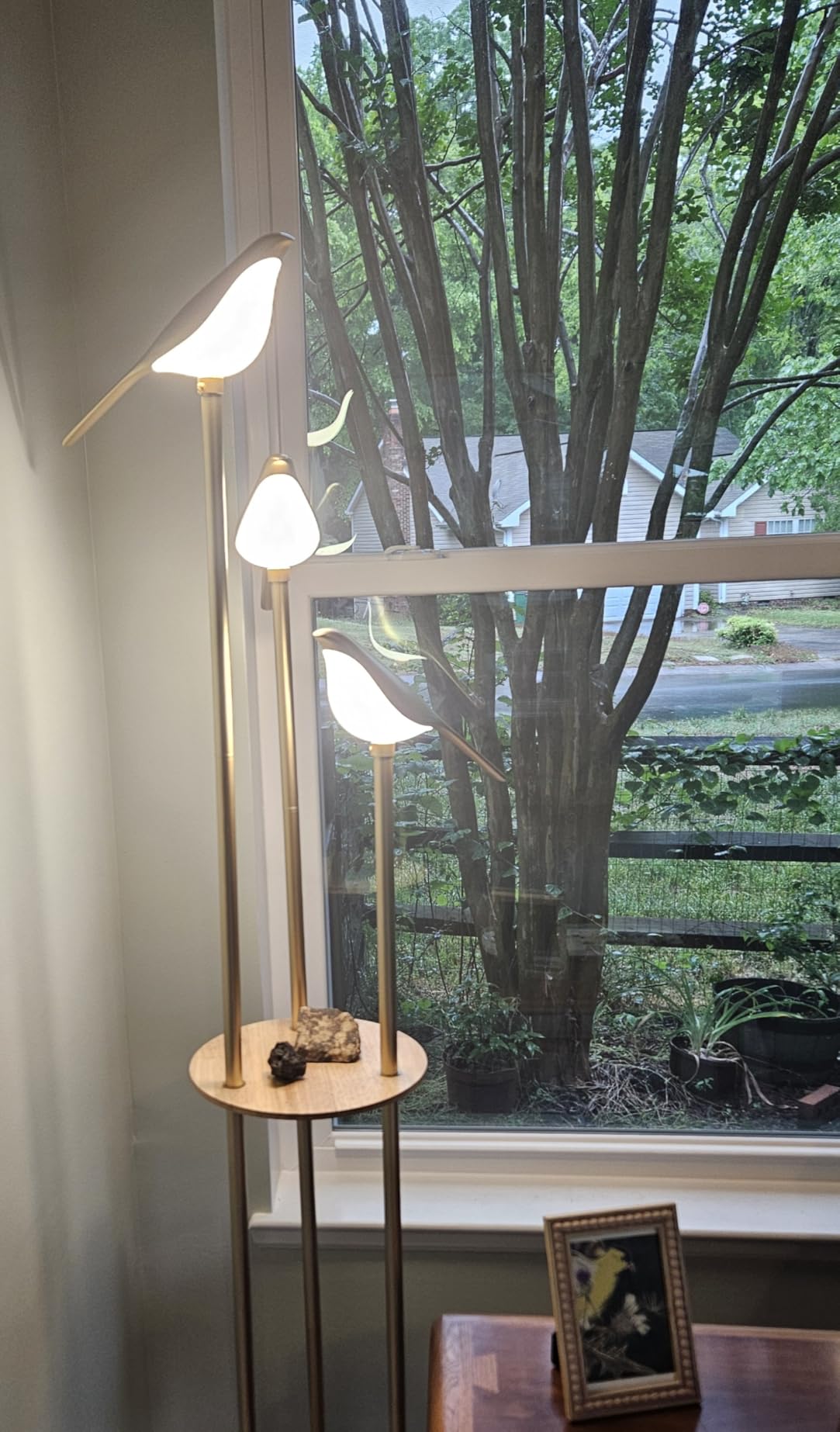Gold Floor Lamps for Living Room, Modern Floor Lamp with Shelves, Mid Century Standing Lamp with 3 Adjustable LED Bird Lights, Corner Tall Lamp with Table, Brass Stand up Lamp for Bedroom Kids Room customer photo 1