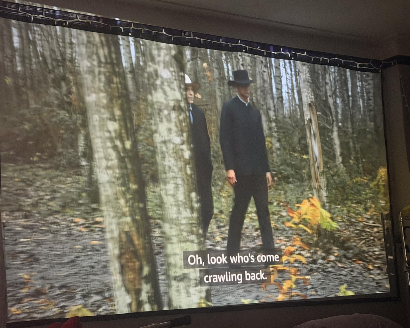100 Inch Projector Screen with Black Backing, Foldable 16:9 customer photo 2