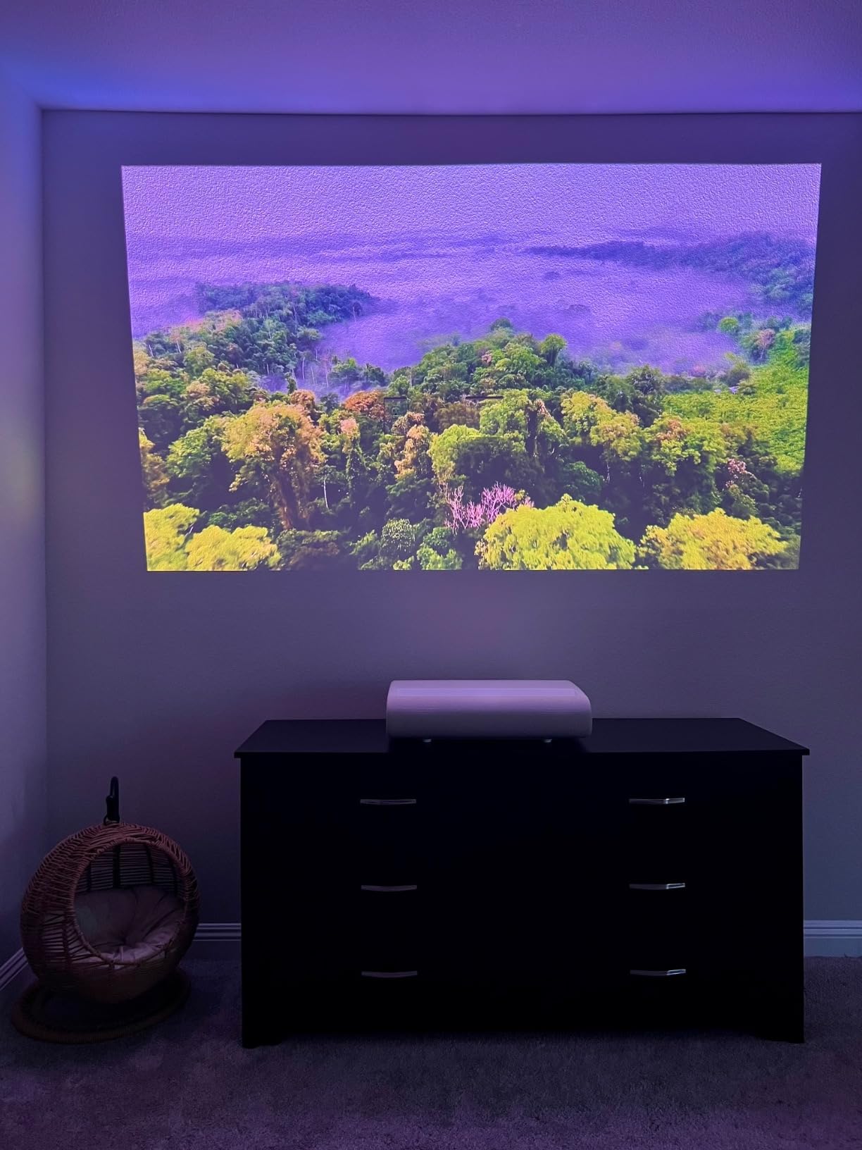 130-Inch Class LPU9D Series The Premiere Ultra Short Throw 4K AI Smart TV Triple Laser Projector for Home Theater w/ Gaming Hub, Vision Boost, Powerful Sound, Alexa Built-In, SP-LPU9DSA, 2024 customer photo 1