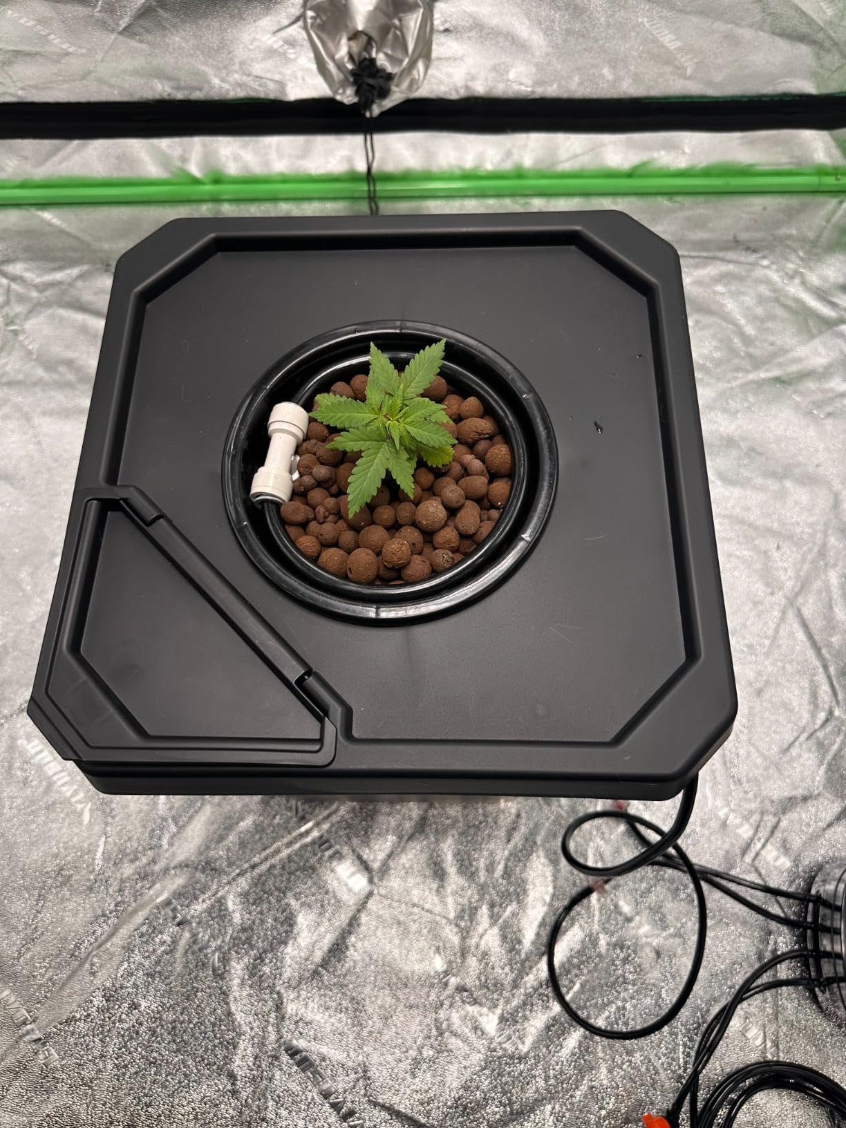 Spider Farmer DWC Hydroponics Growing System Kit 2 Buckets for Indoor Plant customer photo 2