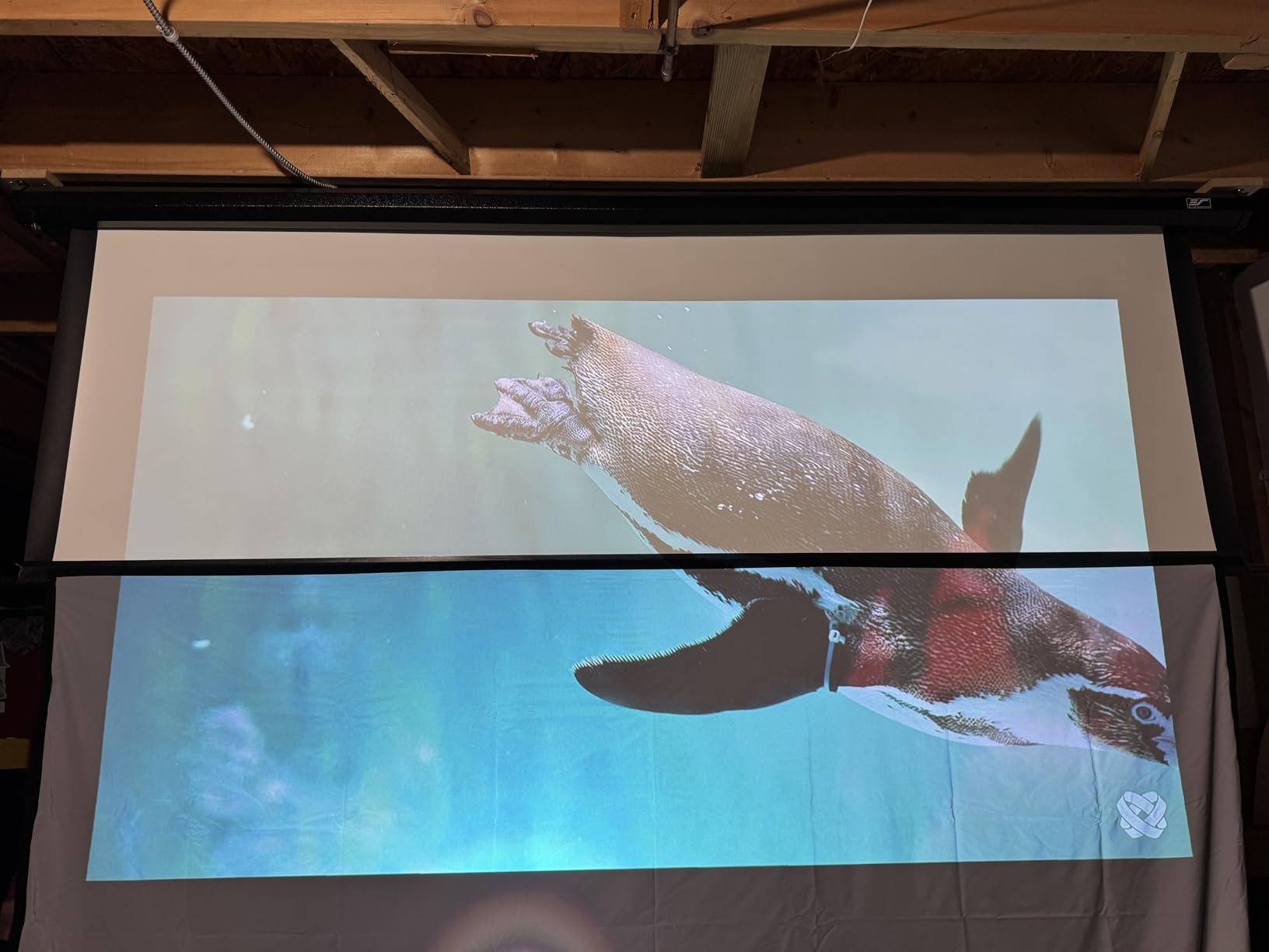 High gain Projector Screen Material - for DIY Frame or Wall Mounted - 2.6X Brightness and High Contrast 30% ALR - 128 inch 16:9 White Screen - by SilverMagic customer photo 1
