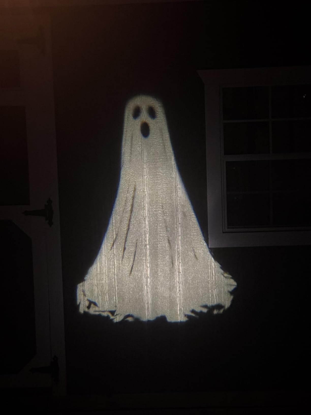 Halloween Projector Lights Outdoor, 3D Dynamic Ghost Decorations Light, 2026 Upgraded Clearer Ghost HD Patterns, Holiday Light for Home Window Wall Halloween Garage Door Decor customer photo 1