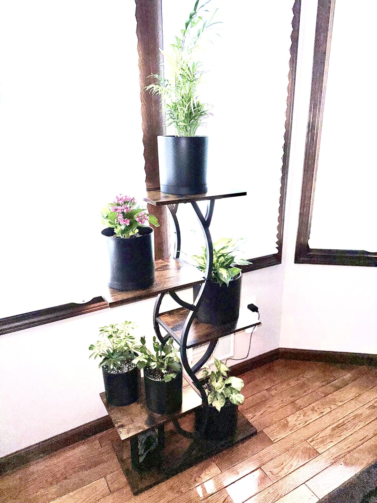Plant Stand Indoor with Grow Lights - 5 Tiered Corner Plant Shelves (Brown) customer photo 2