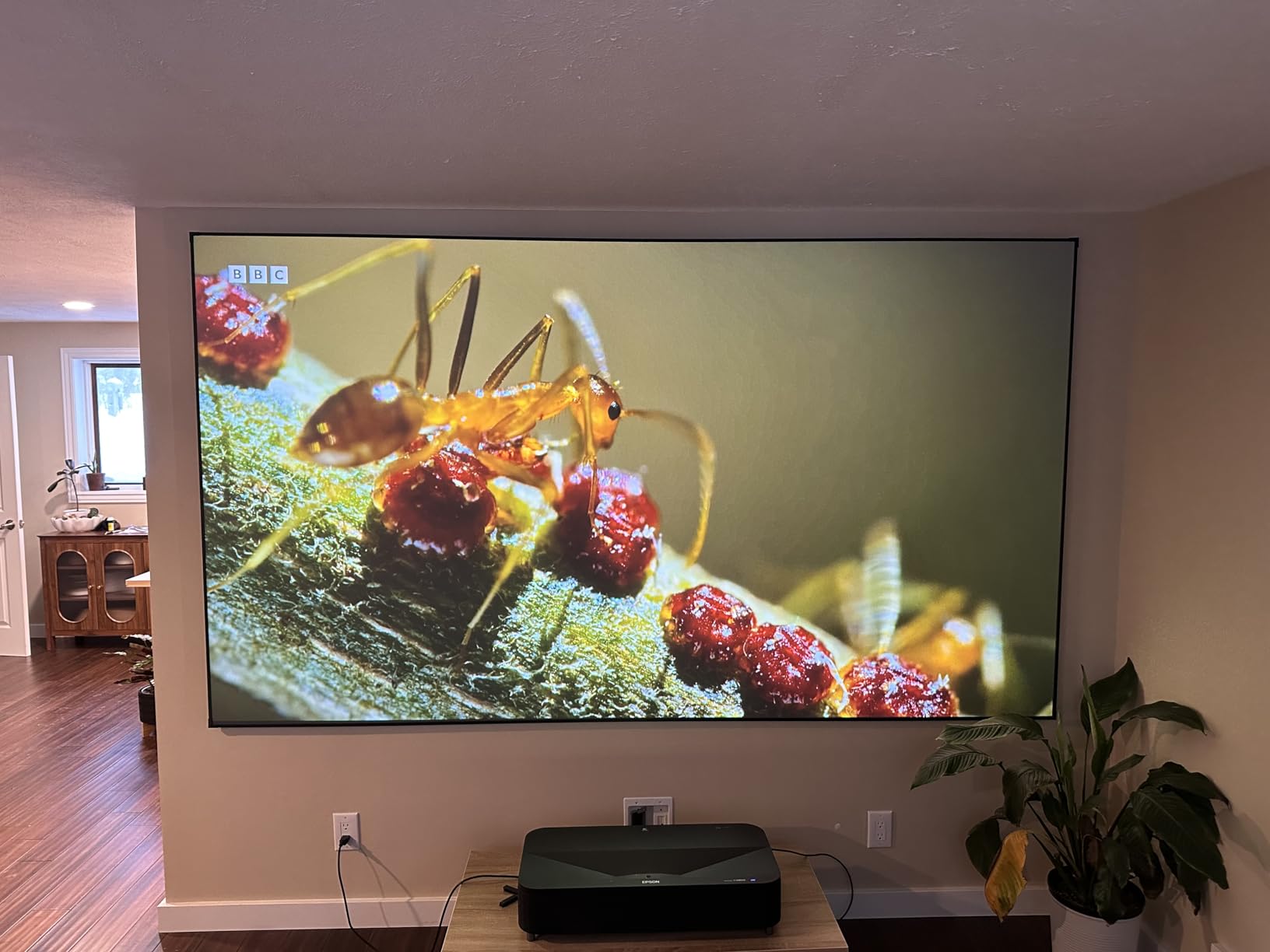 NothingProjector ALR Screen for Ultra Short Throw Projector, 120 inch | 95% Ambient Ceiling Light Rejecting, 4K/8K UHD Active 3D, Fixed Frame 16:9, Wall Mount Anti Daylight UST, Black Series NothPJ customer photo 1