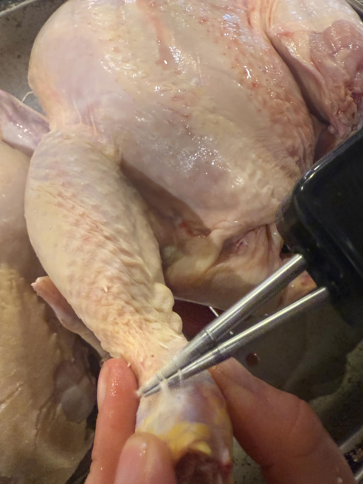 Heavy-Duty Electric Chicken Plucker, High-Power Cordless Poultry Feather Remover with Auto-Adjusting 304 Stainless Steel Tweezer Head (Black) customer photo 1