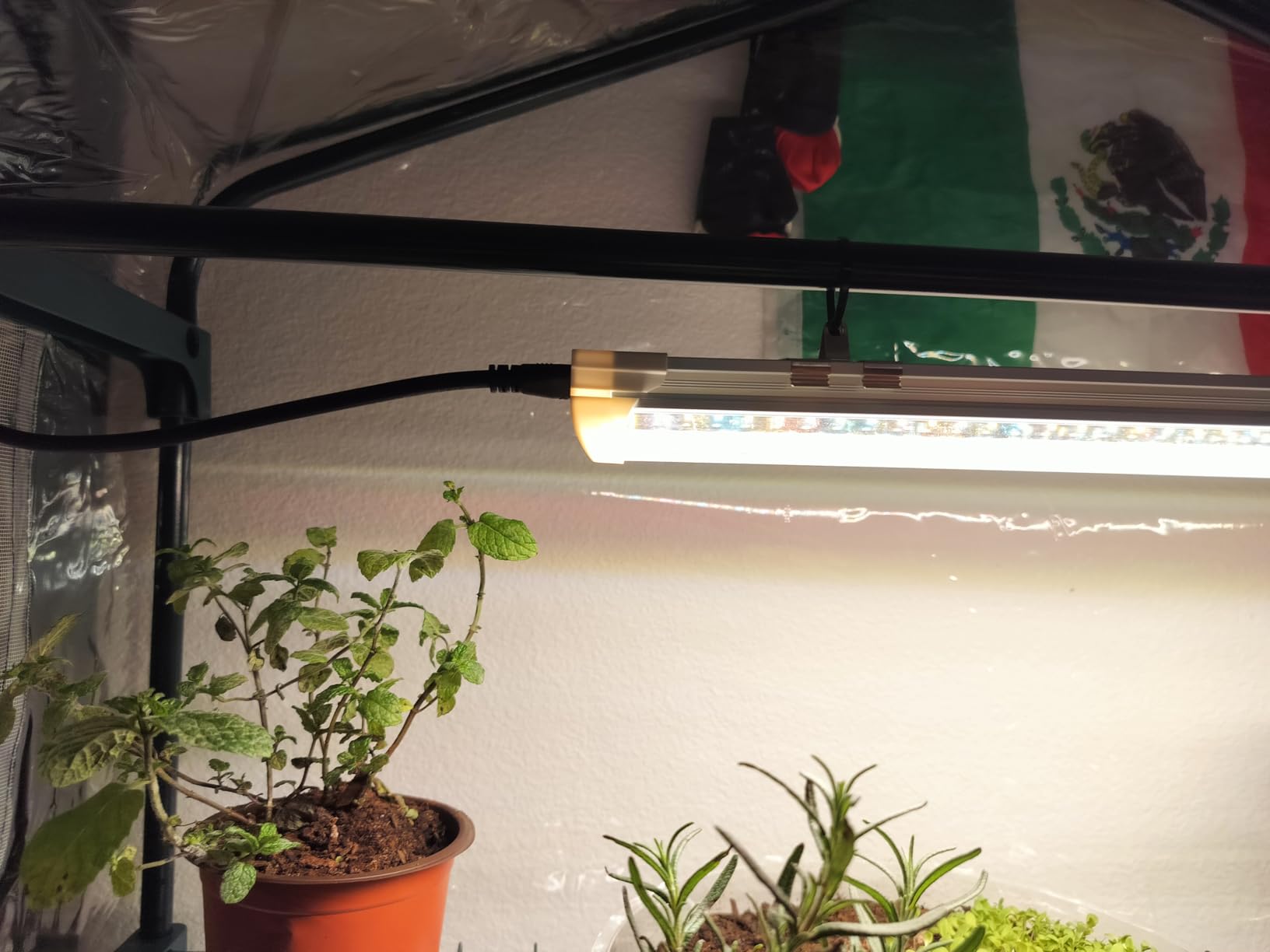 Bstrip Indoor Greenhouse with Grow Light, 4x20W Plant Lights with Timer customer photo 1