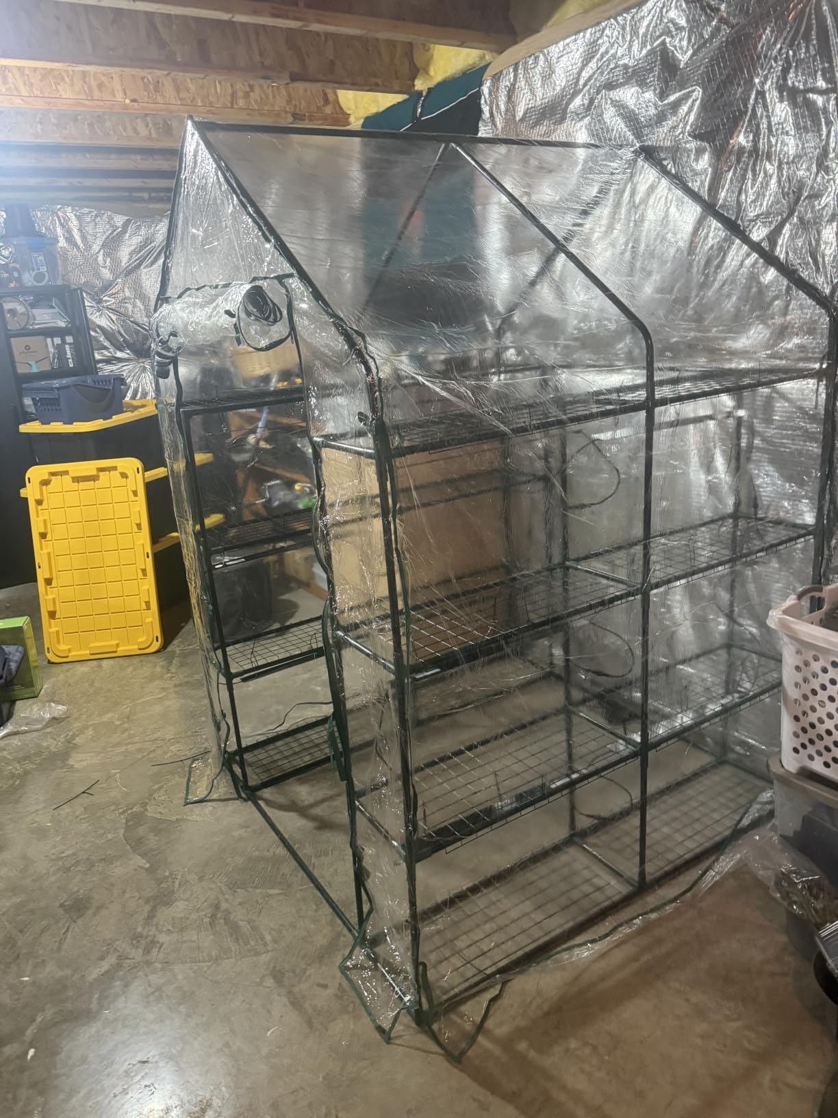 Bstrip Indoor Greenhouse with Grow Light, 4x20W Plant Lights with Timer customer photo 2