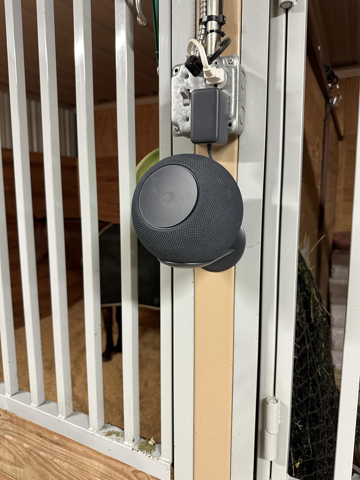 Echo Studio (newest model), Immersive spatial audio and Dolby Atmos, Designed for Alexa+, Graphite customer photo 1
