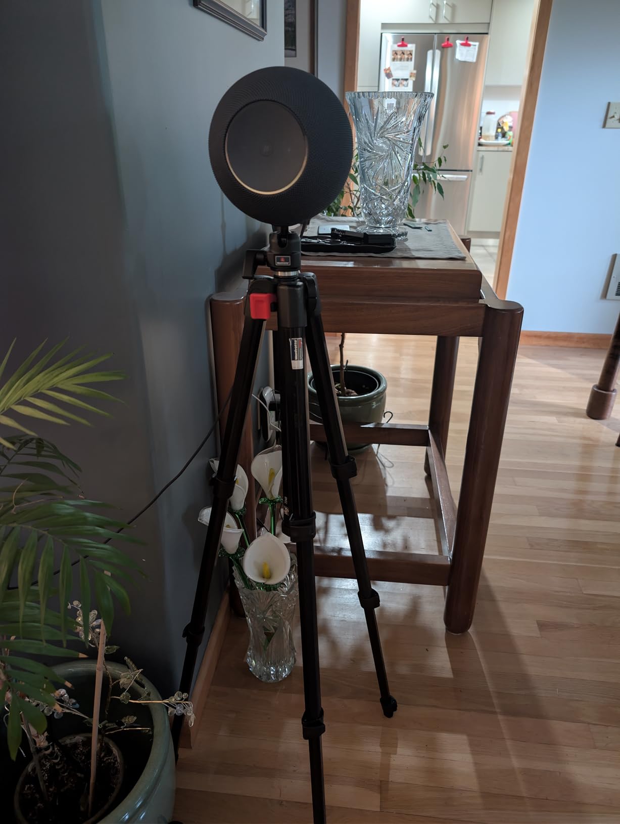 Echo Studio (newest model), Immersive spatial audio and Dolby Atmos, Designed for Alexa+, Graphite customer photo 2