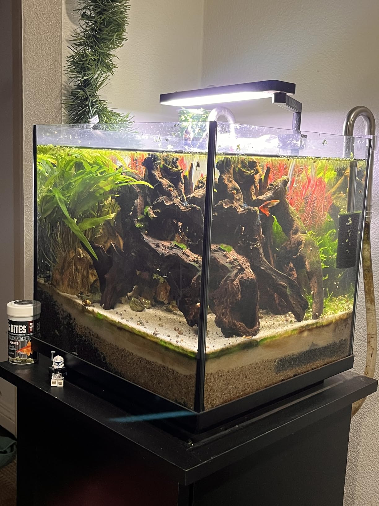 AMOSIJOY Ultra-Quiet Canister Filter for Large Fish Tanks and Aquariums customer photo 1