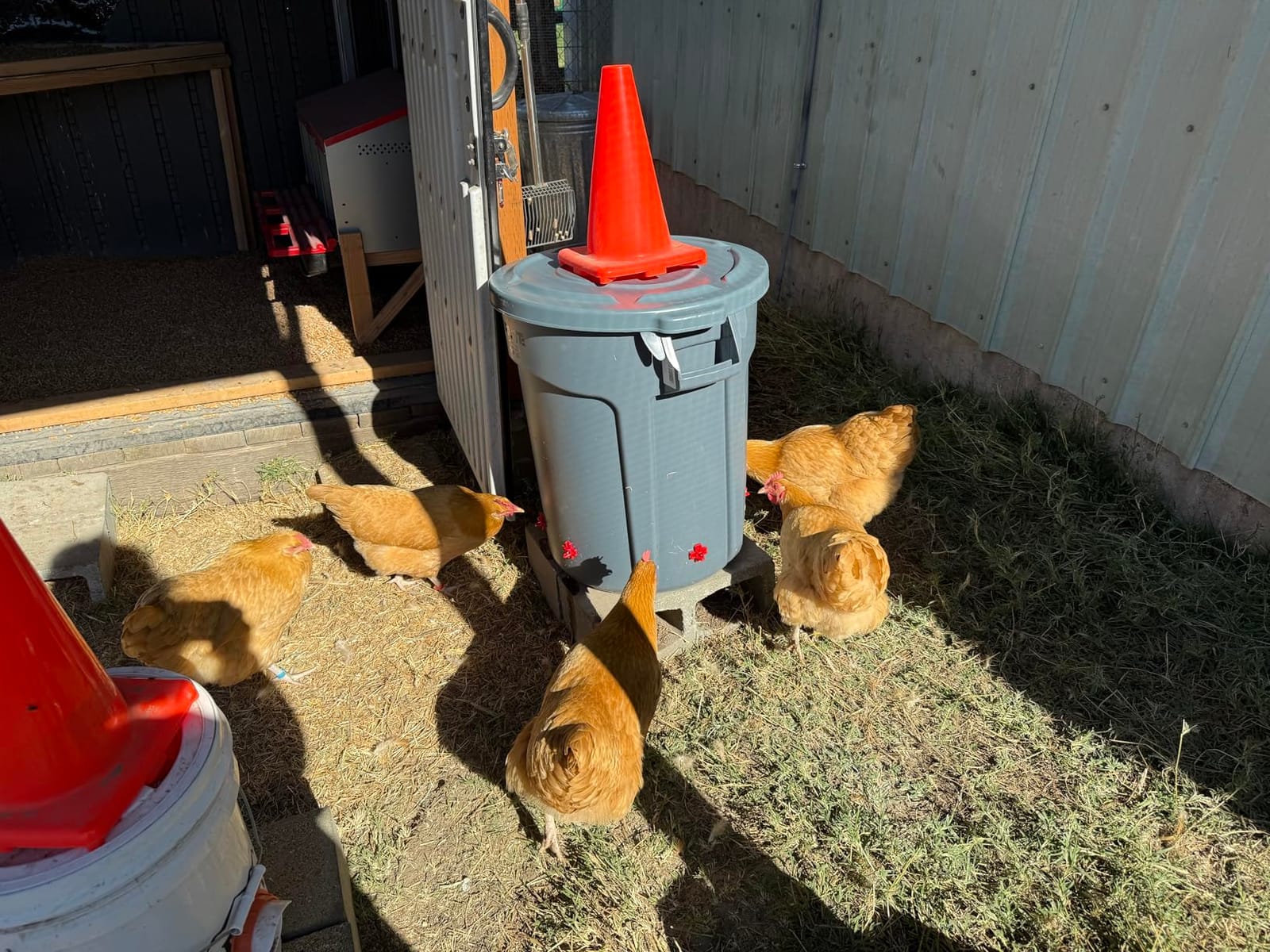 Automatic Chicken Waterer Nipples with Drill Bit (20 Pack Red) customer photo 1