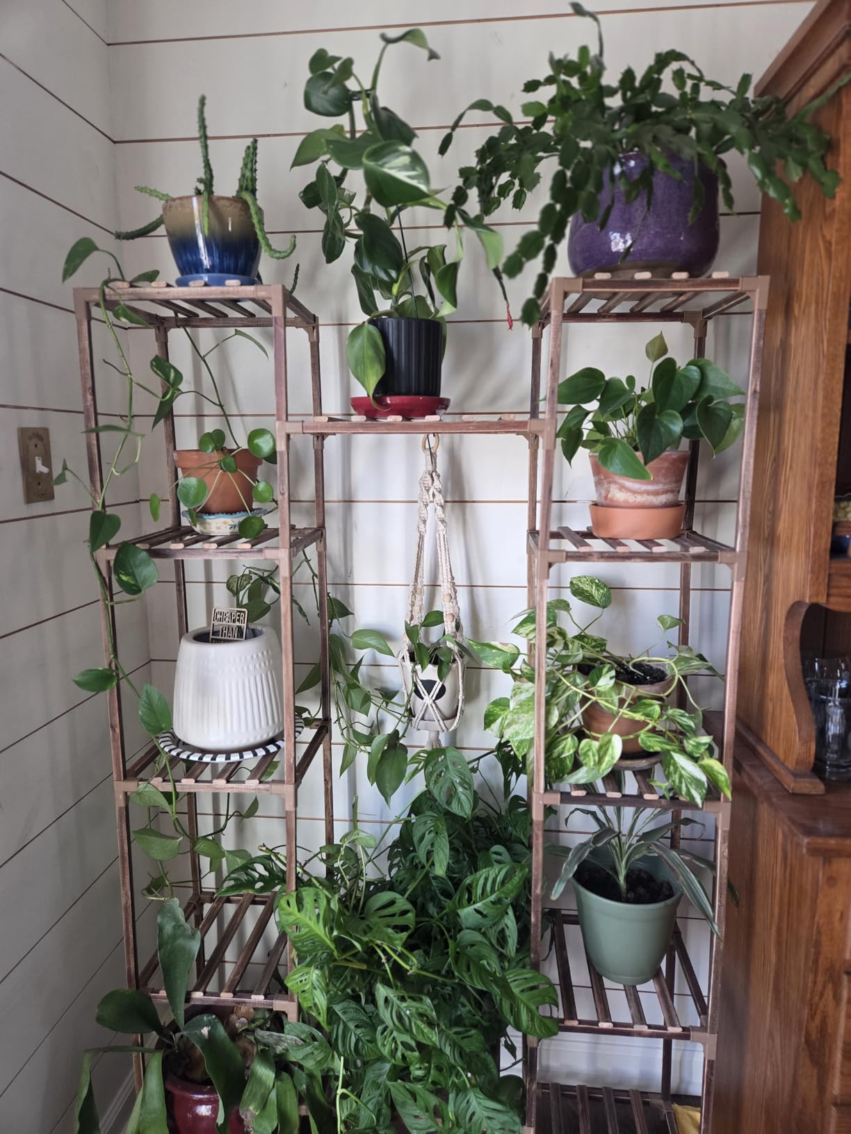 GENTINGBRO Plant Stand Indoor with Grow Lights for Indoor Plants 62.2'' Tall Plant Shelf 12 Tiers Sturdy Plant Rack for Plants Dispaly for Living Room Garden Patio Decor customer photo 2