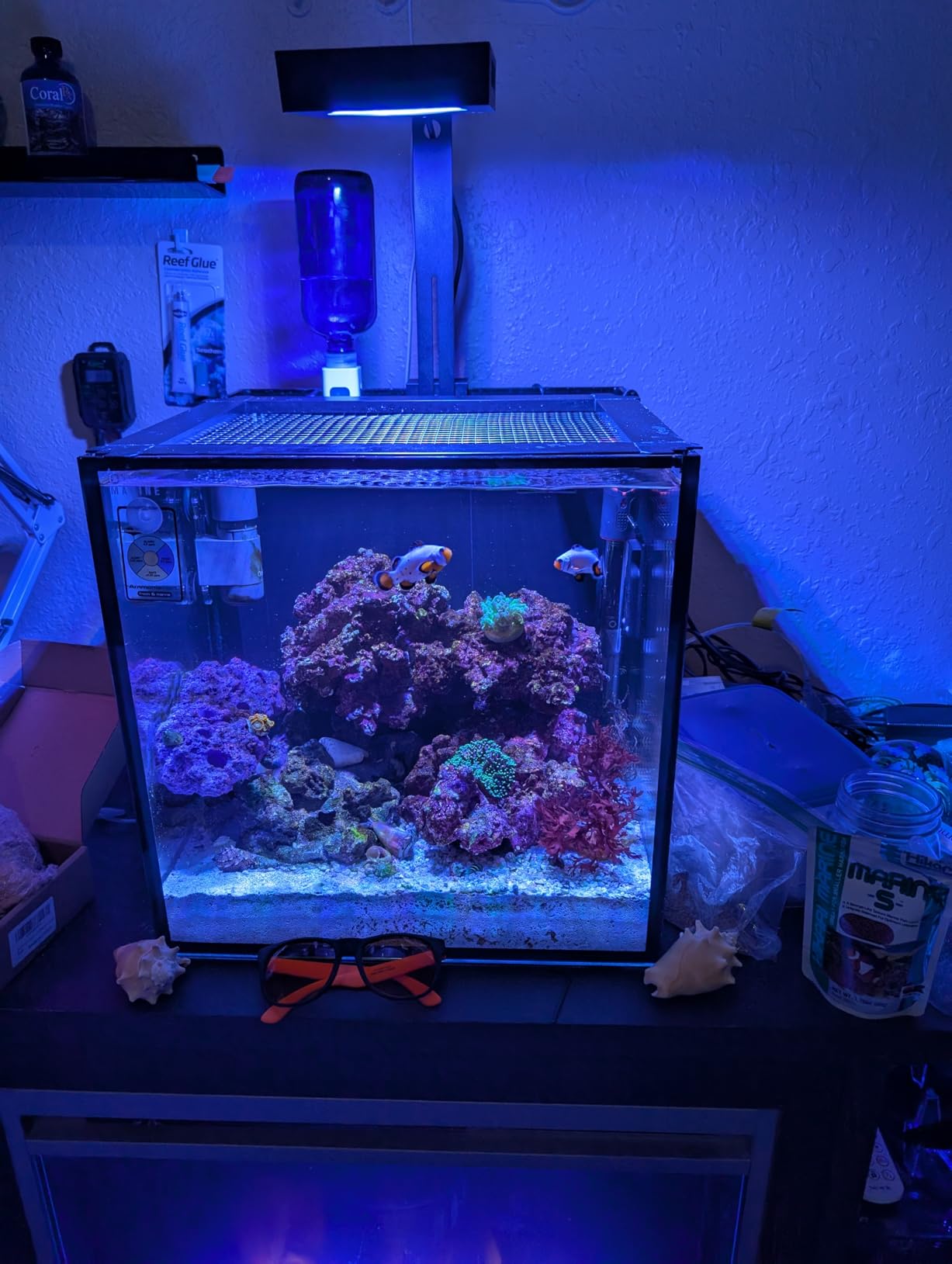 NICREW NavaReef 65 Reef LED Light, 65W Reef Aquarium Lighting for Soft/LPS Corals and Saltwater Fish Tanks, Built-in Timer, Blue Focused Spectrum customer photo 2