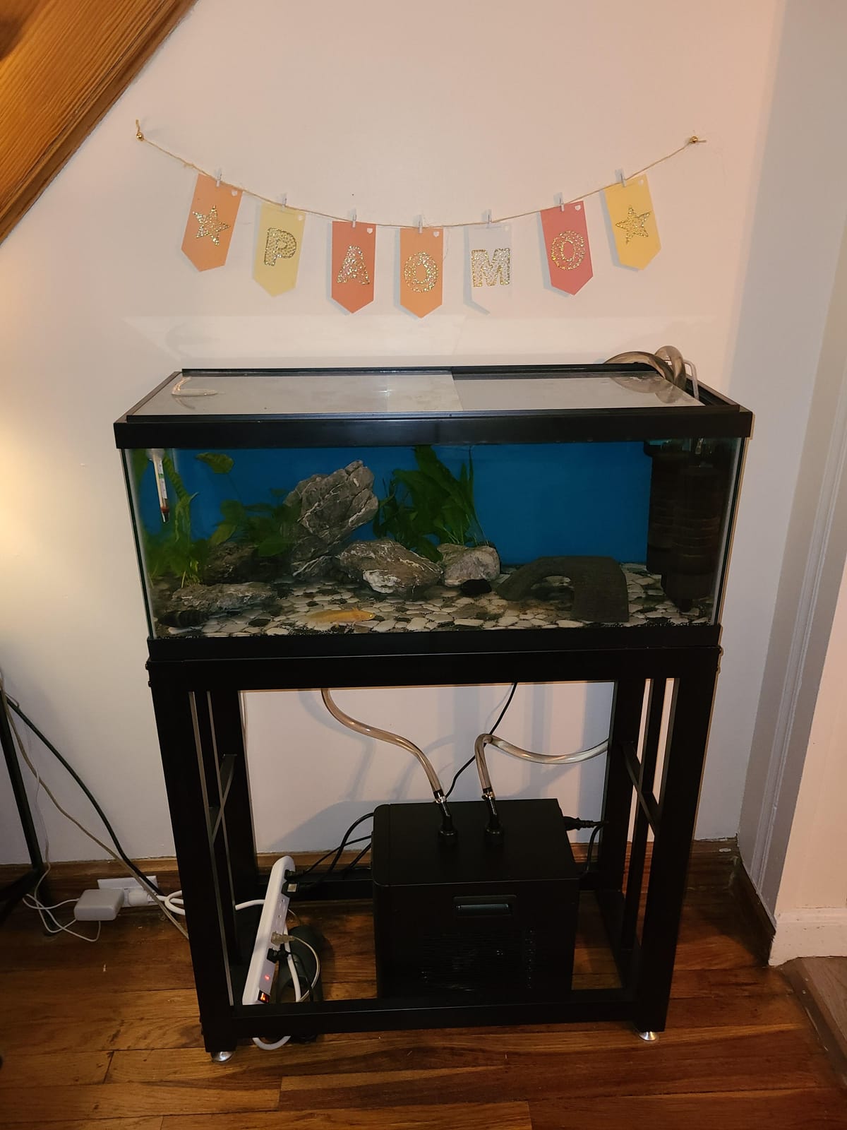 BAOSHISHAN 1/13 HP Aquarium Chiller 26 Gallon Fish Tank Water Chiller customer photo 2