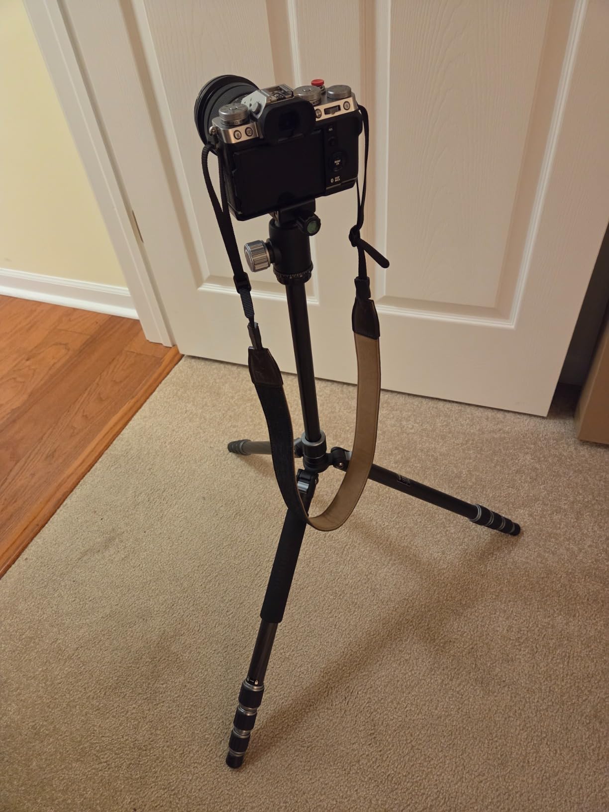 Carbon Fiber Camera Tripod, 62
