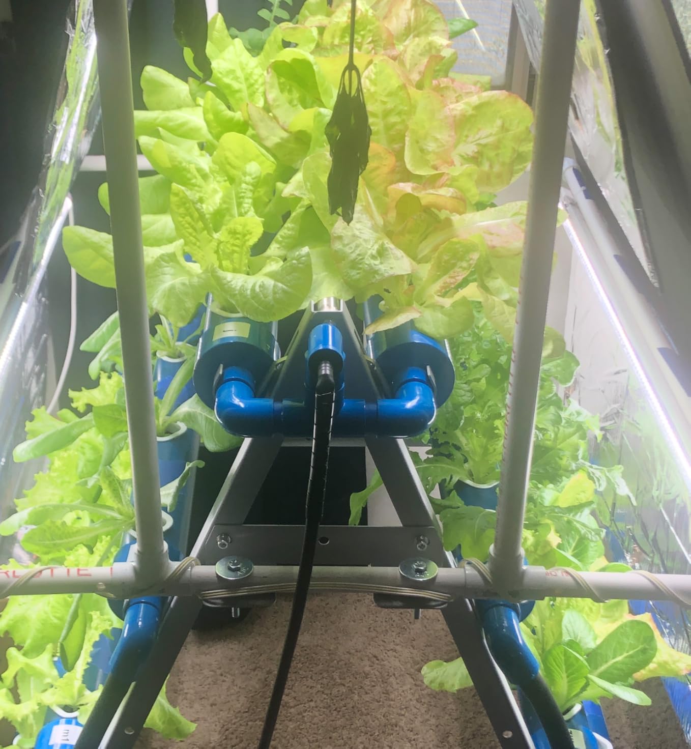 A-Type 72 Plant Sites Hydroponics Growing System Kit with Light Blocking customer photo 1