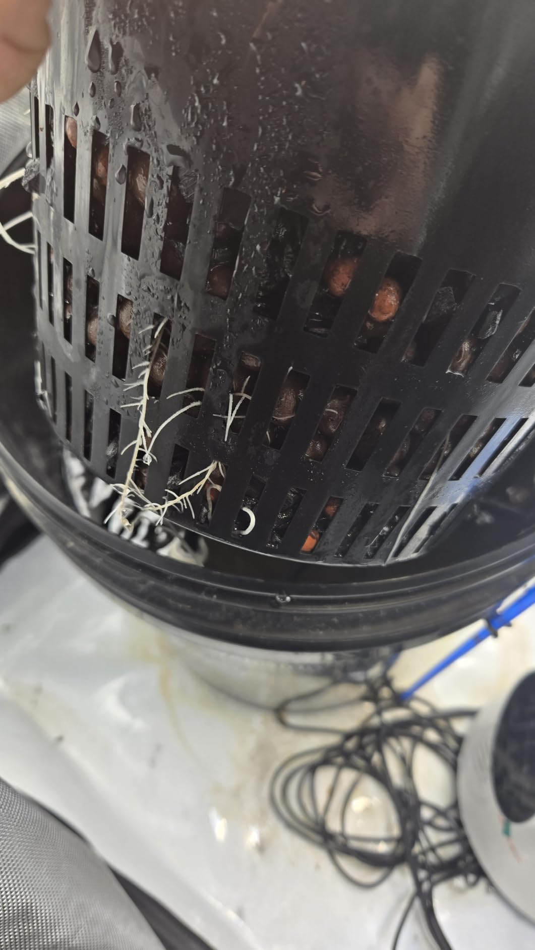 MARS HYDRO DWC 4‑Bucket Hydroponic System with Pump & Drip customer photo 1