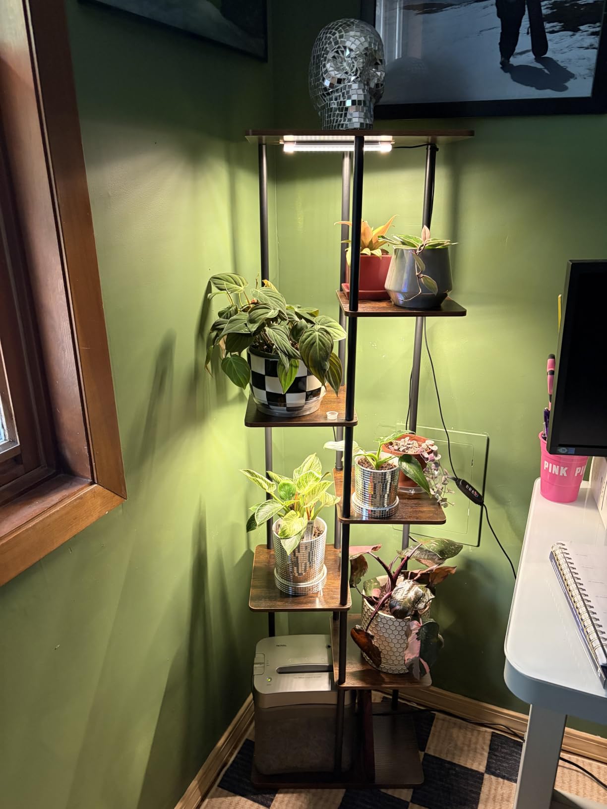 Bamworld Plant Stand with Grow Light for Indoor Plants Corner 7 Tier customer photo 1