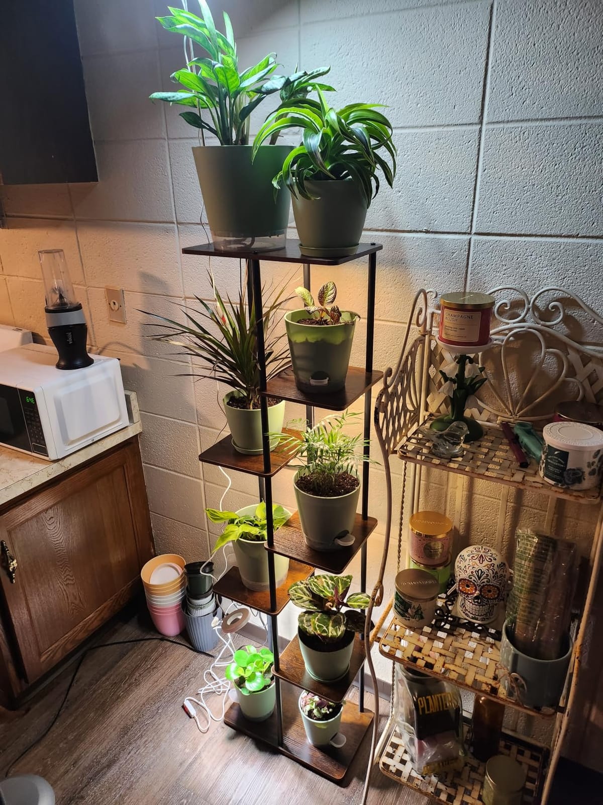 Bamworld Plant Stand with Grow Light for Indoor Plants Corner 7 Tier customer photo 2