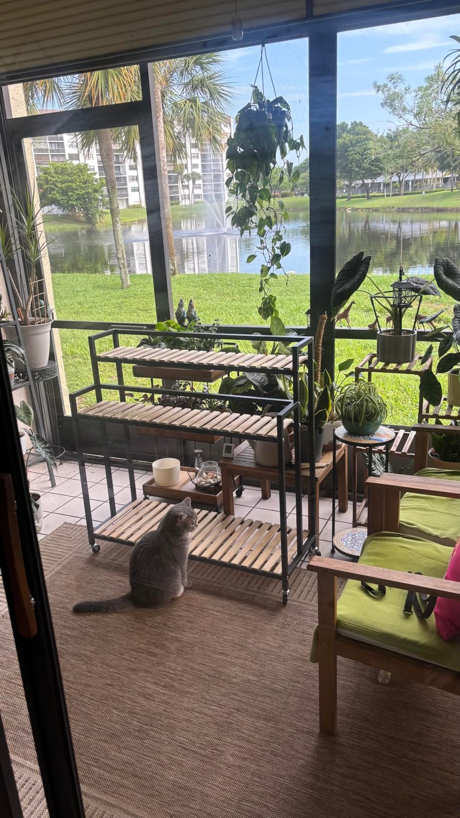 3Tier Plant Shelf Modern Rolling Plant Stand, Wood Iron Frame | 40*39*14.9in, indoor/outdoor use in Living Spaces or Patio. Space spare, Robust Pine, Easy Assembly customer photo 2