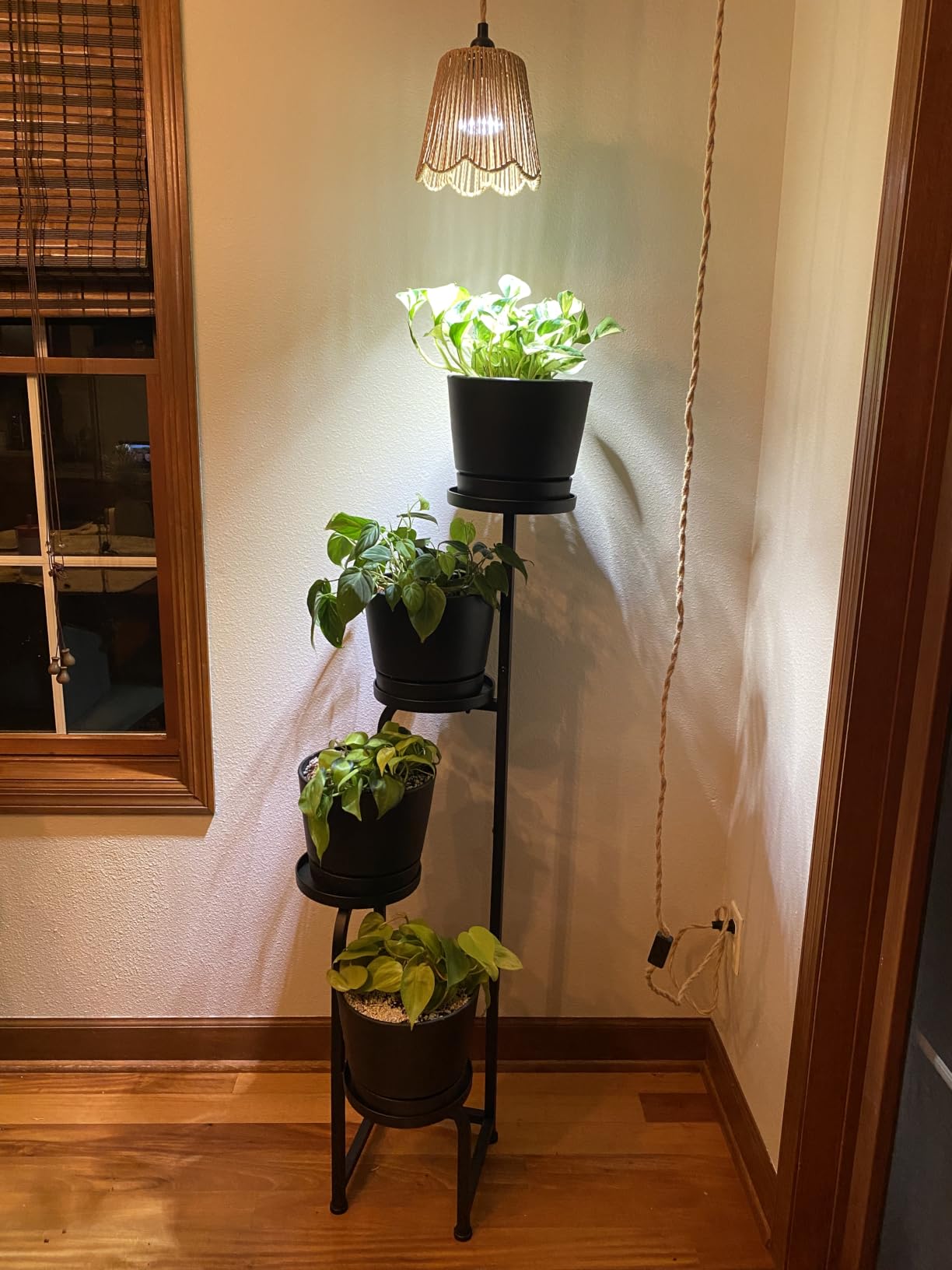 Bamworld Plant Stand with Grow Light Corner Metal Flower Pot Stands customer photo 1