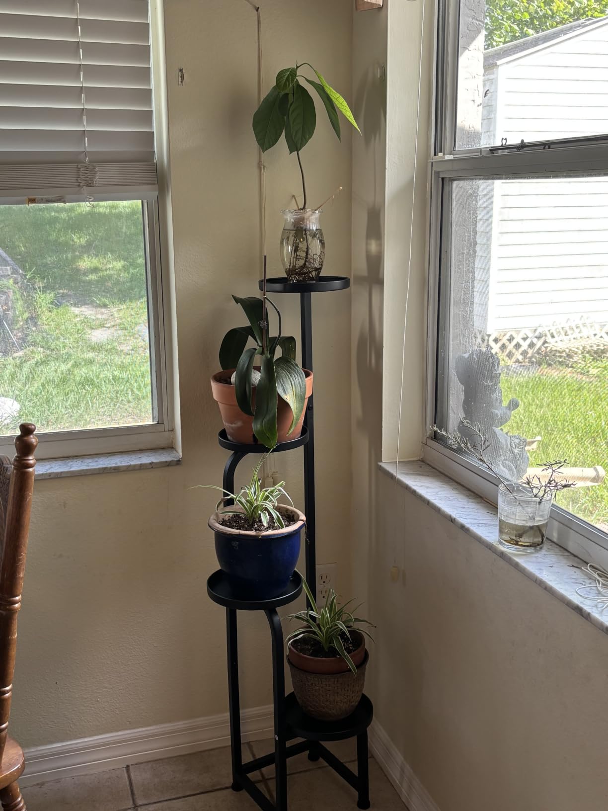 Bamworld Plant Stand with Grow Light Corner Metal Flower Pot Stands customer photo 2