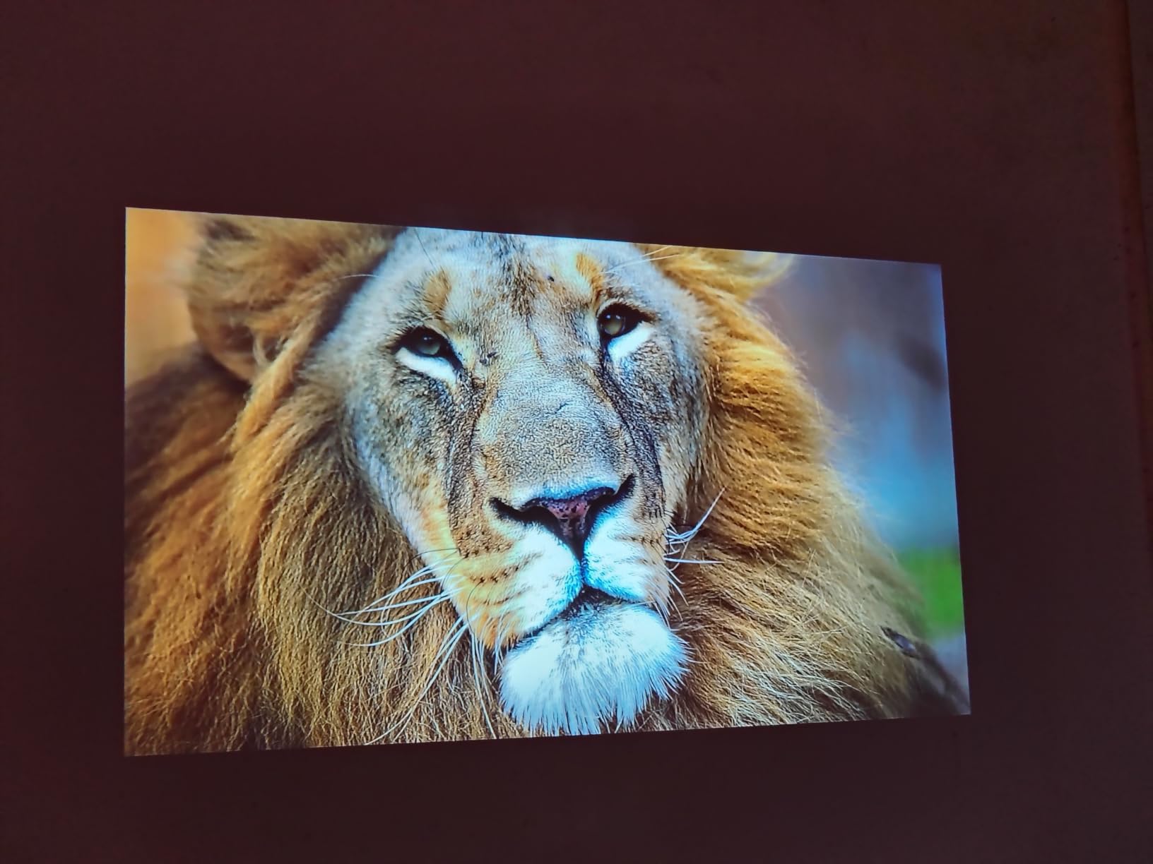 Native 1080P Mini Projector, Real 240 ANSI Lumens, Easy Dust Cleaning Design, Quiet Cooling System, Dual USB & HDMI, Adjustable Metal Stand customer photo 1