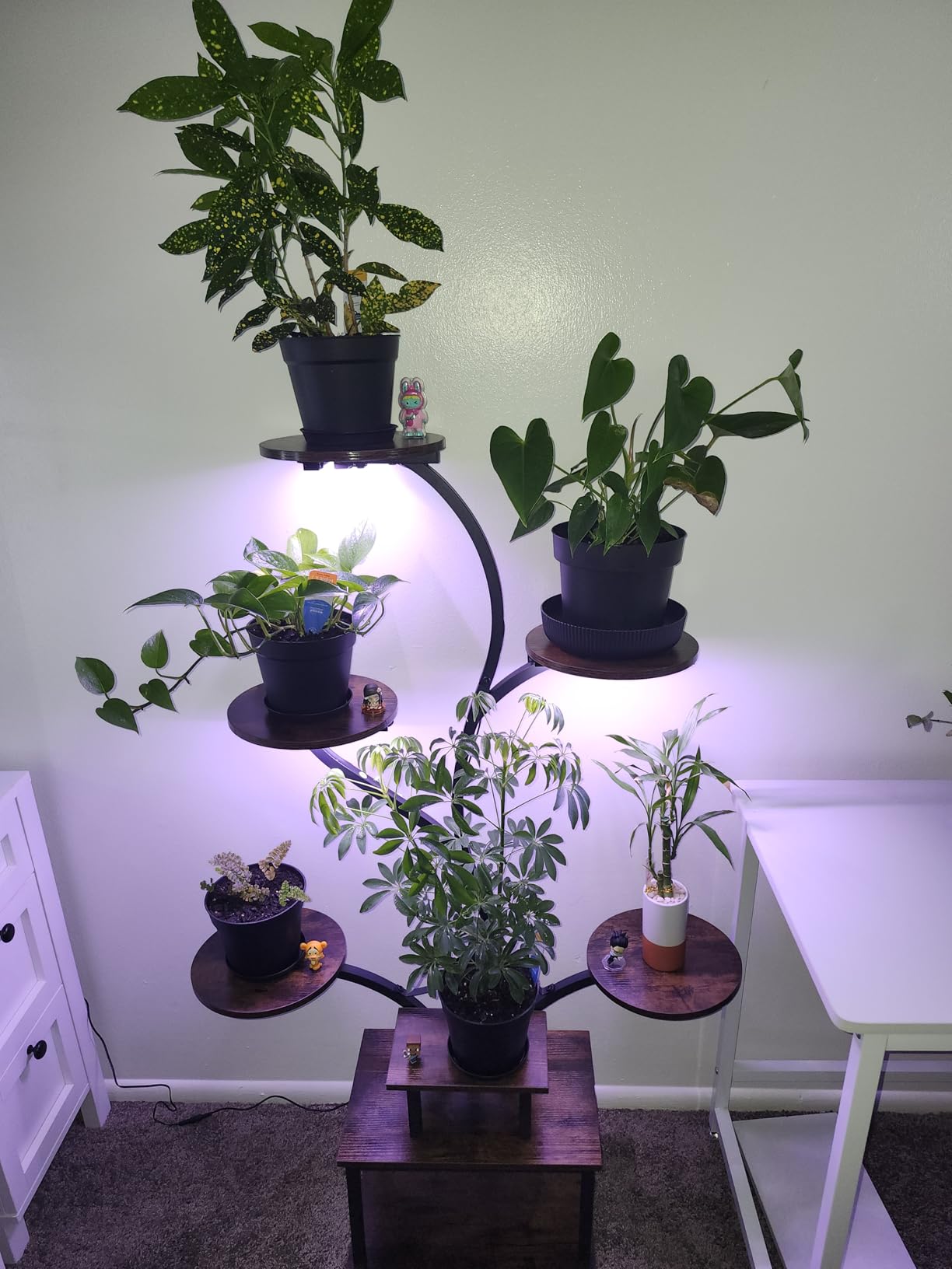 PRAISUN 51 Inch Plant Stand with Grow Lights, 8 Tiered Indoor Plant Shelf customer photo 1