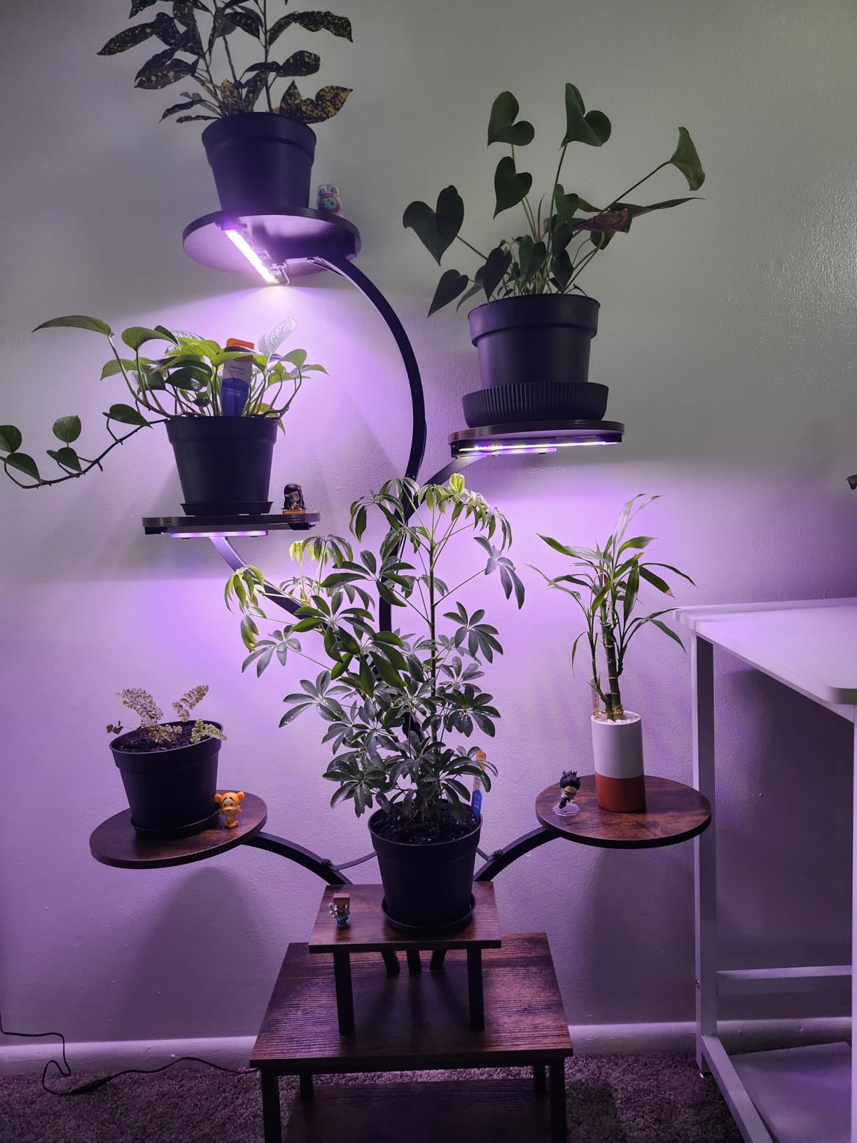 PRAISUN 51 Inch Plant Stand with Grow Lights, 8 Tiered Indoor Plant Shelf customer photo 2