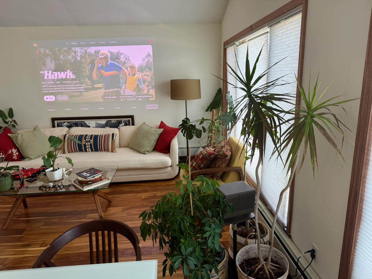 XGIMI HORIZON 20 Pro 4K RGB Triple Laser Home Projector, 4100 ISO Lumens customer photo 2