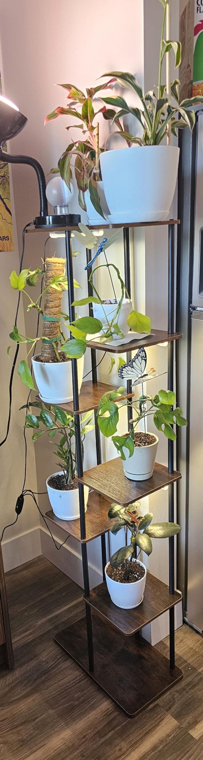 Bamworld Plant Shelf with Grow Light for Indoor Plants Corner 6 Tier customer photo 2