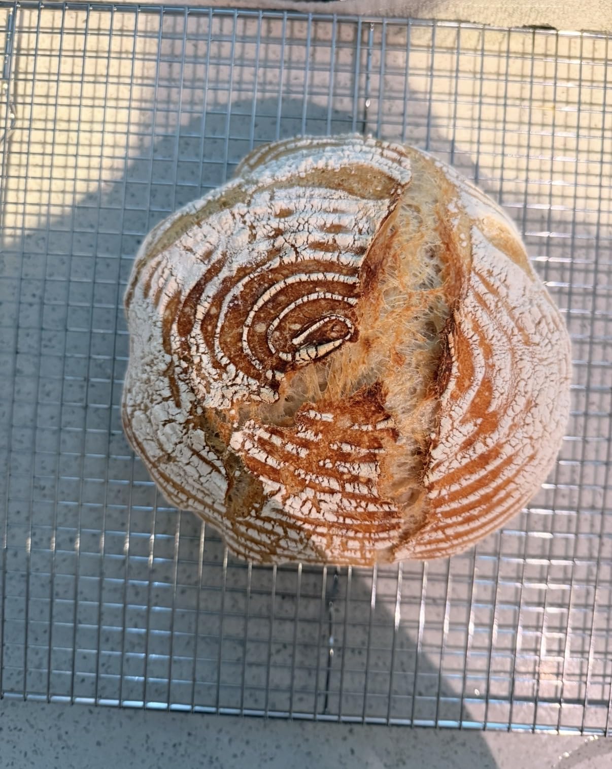 Superbaking Sourdough Starter Kit: 9