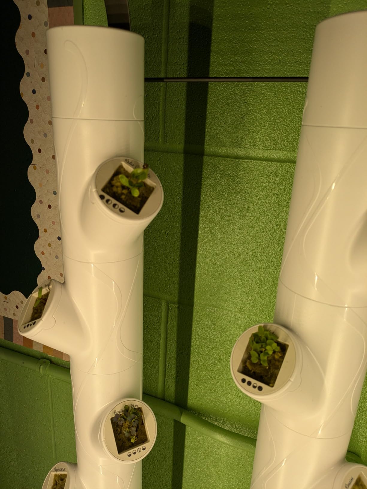 Gardyn Home 4 Vertical Hydroponics Growing System Kit - 30 Plants customer photo 2