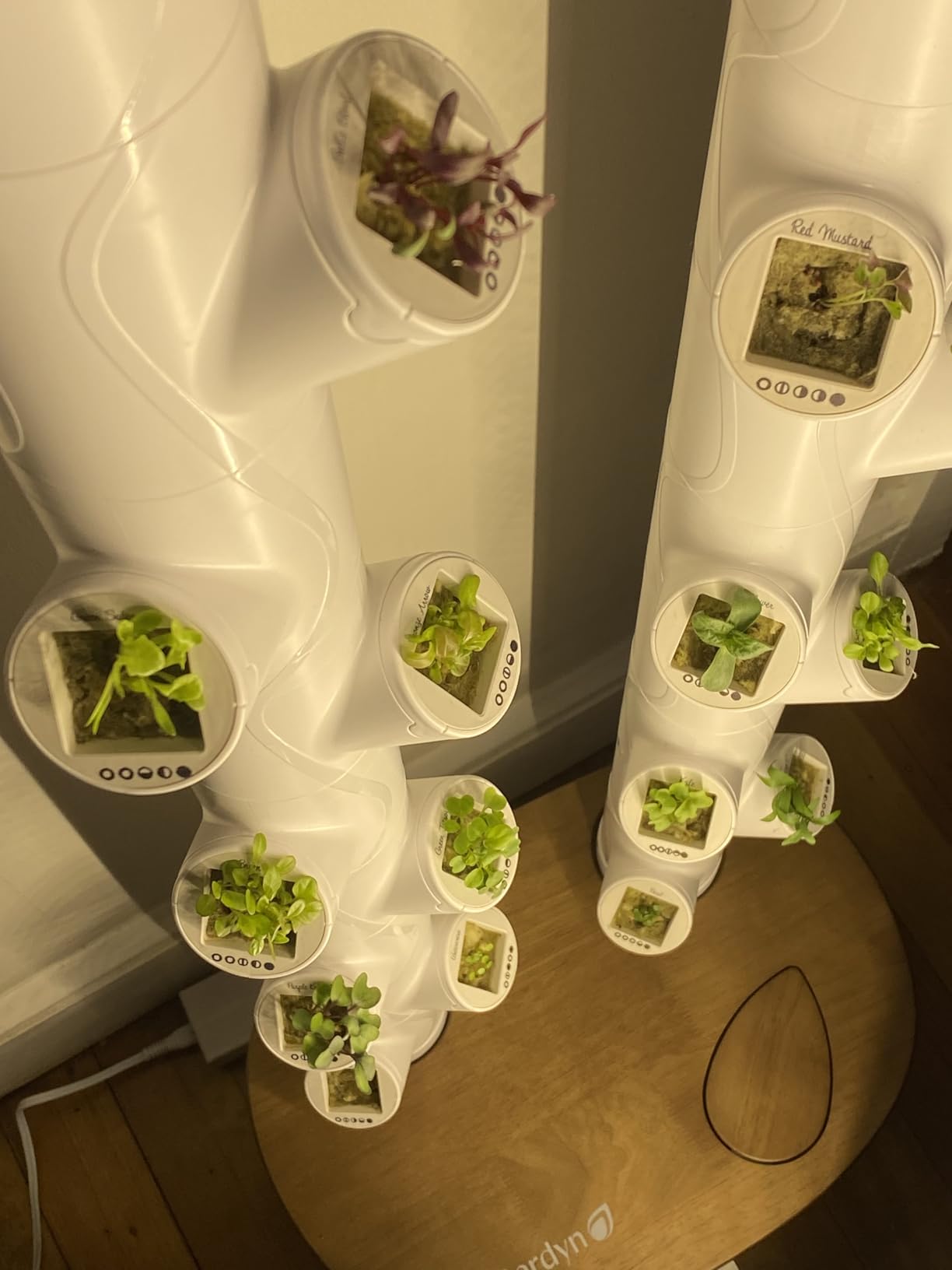 Gardyn Studio 2 Hydroponics Growing System - 16 Plants, Smart Tower customer photo 1