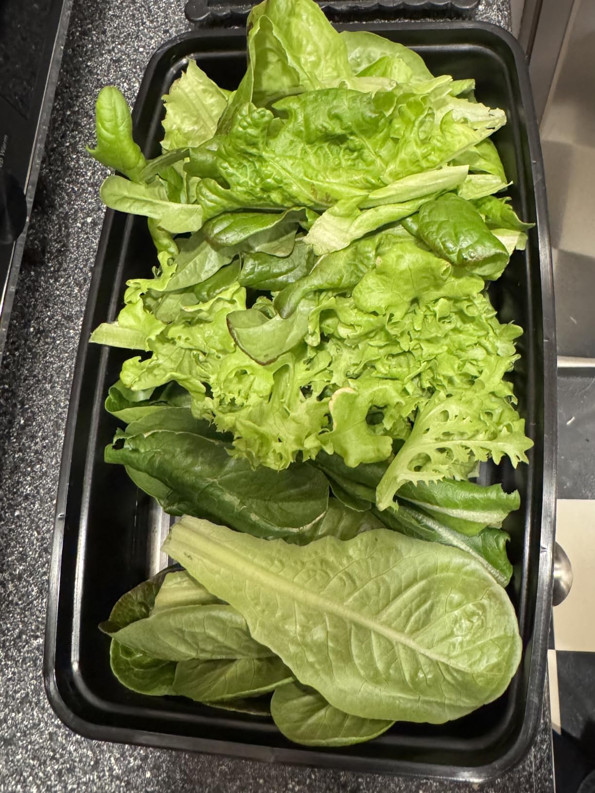 Gardyn Studio 2 Hydroponics Growing System - 16 Plants, Smart Tower customer photo 2