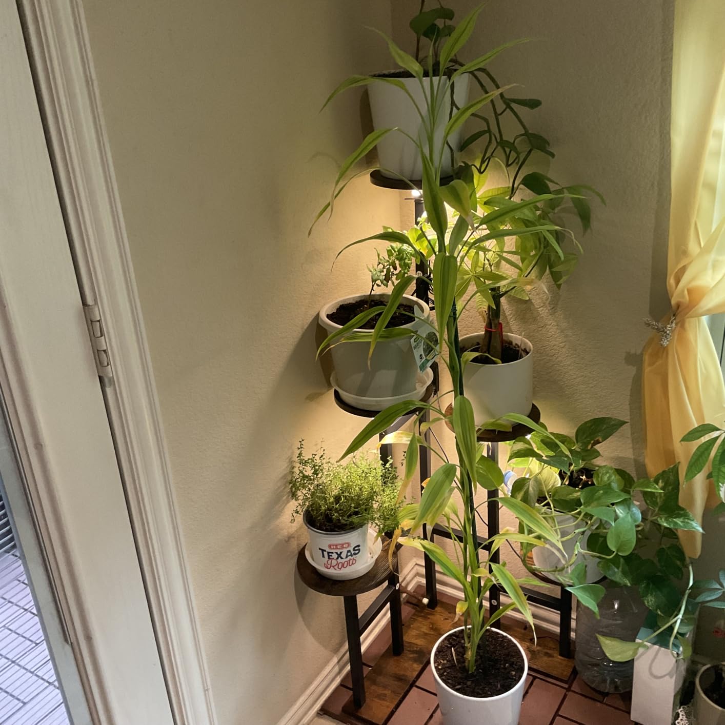 Corner Plant Stand Indoor with Grow Lights 6 Tiered Corner Plant Shelf customer photo 1