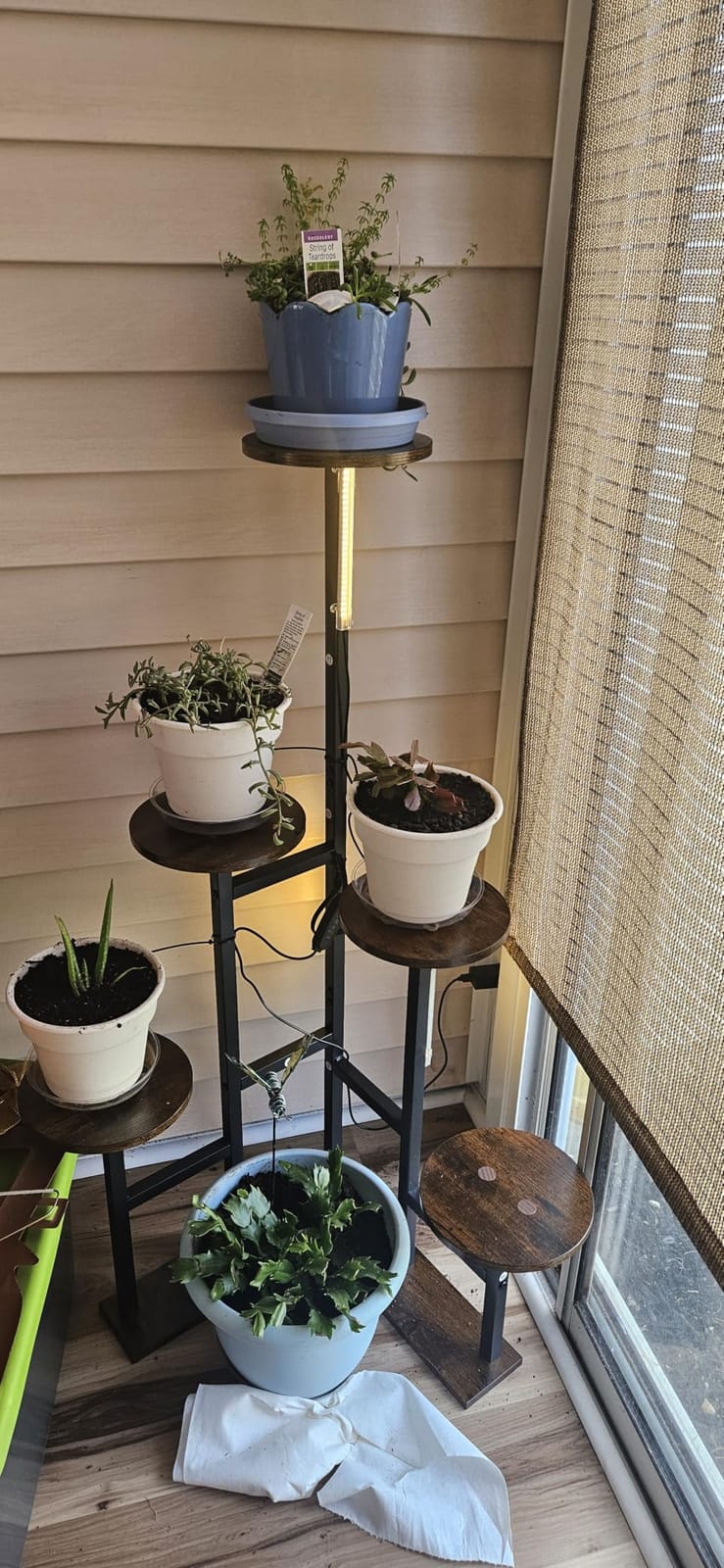 Corner Plant Stand Indoor with Grow Lights 6 Tiered Corner Plant Shelf customer photo 2