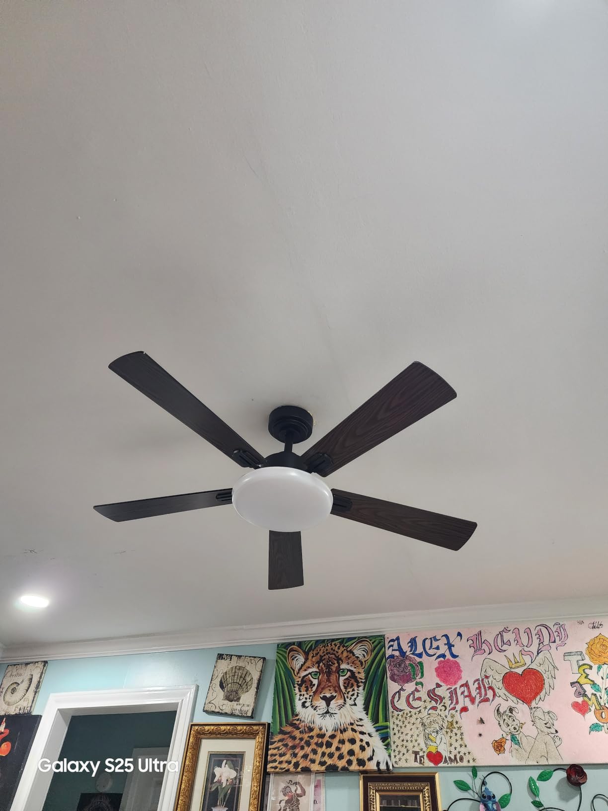 Passky 60 Inch Black Sleek Ceiling Fans with Lights, Remote Control customer photo 1