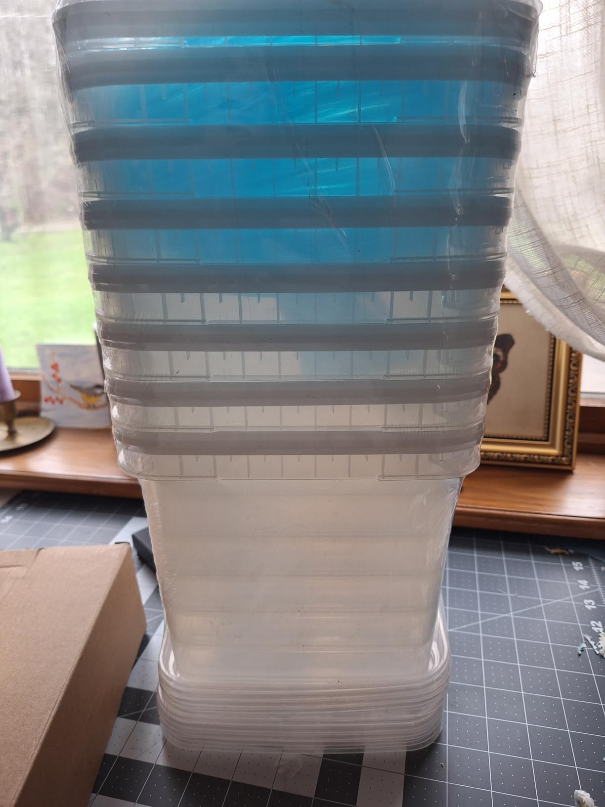 Maple Syrup Tapping Kit for Tree Sap Collection customer photo 1