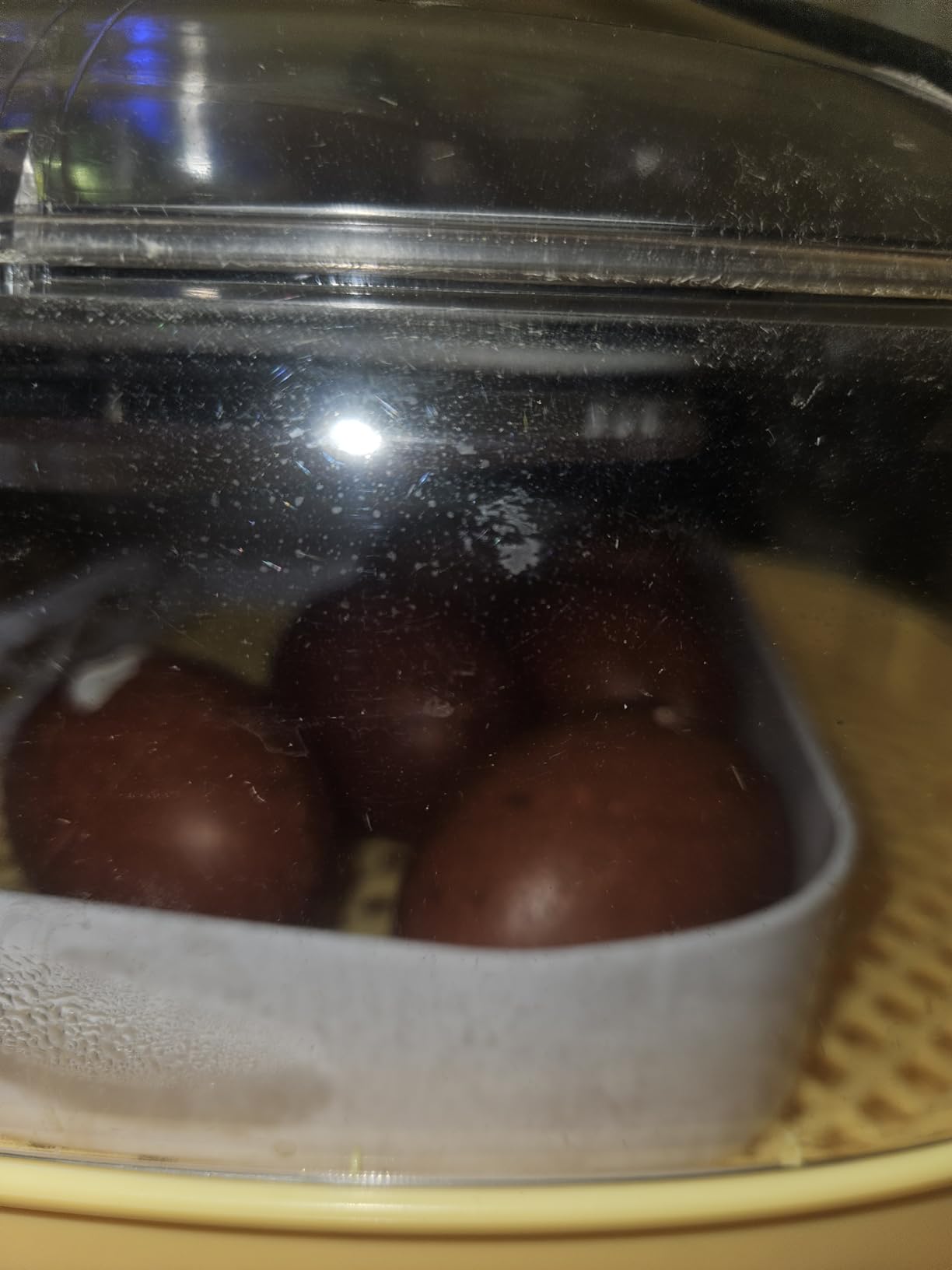 VEVOR 24 Egg Incubator, Automatic Egg Turner with LED Candler, Temperature & Humidity Control, 360° View Clear Window, Auto Water Refill, Poultry Eggs Incubators for Hatching Chicks Ducks Goose Quail customer photo 1