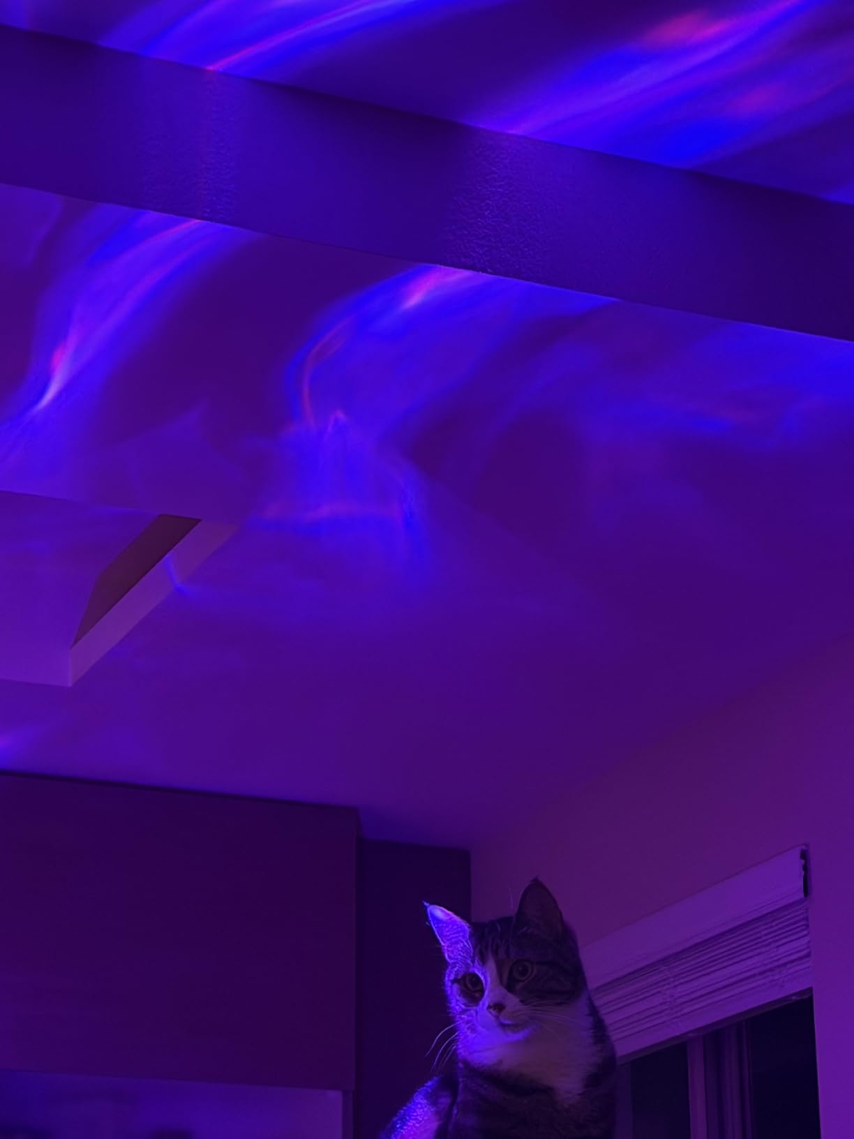 Galaxy Projector Night Light Projector, 15-Color Star Projector for Bedroom, 15 White Noises, 7 Brightness, 4 Speed, Green Star, Bluetooth, Remote, Timer, Teen Boys Gift, Ceiling, Room Decor customer photo 2