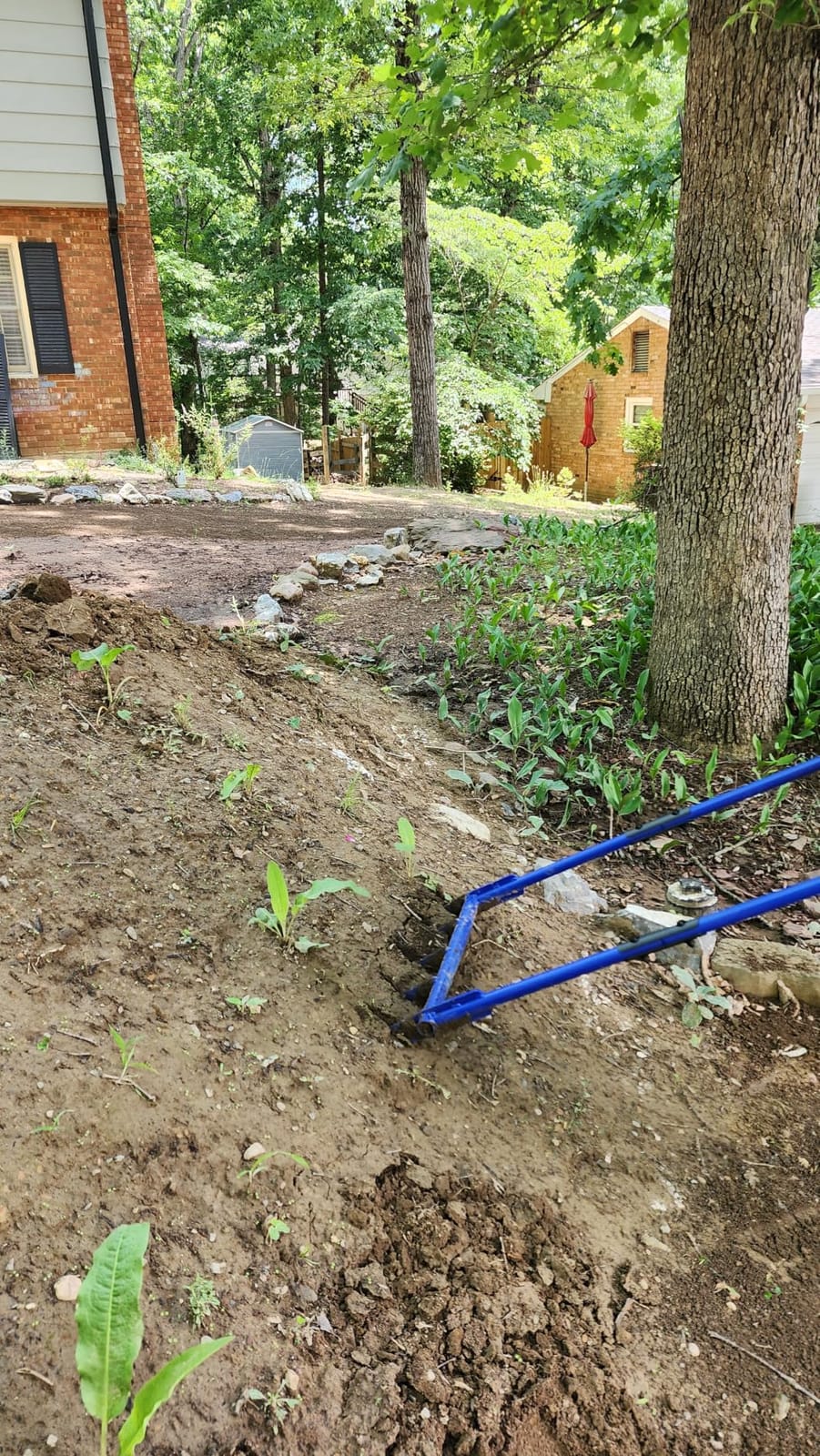 56'' Heavy Duty Broadfork for All the Soils, Detachable Design Pitchfork, 5 Sharp and Cambered 11'' Tines Bord Fork Garden Tool, Ergonomic Handles, Good Package, Easy Assembly, Blue. customer photo 1